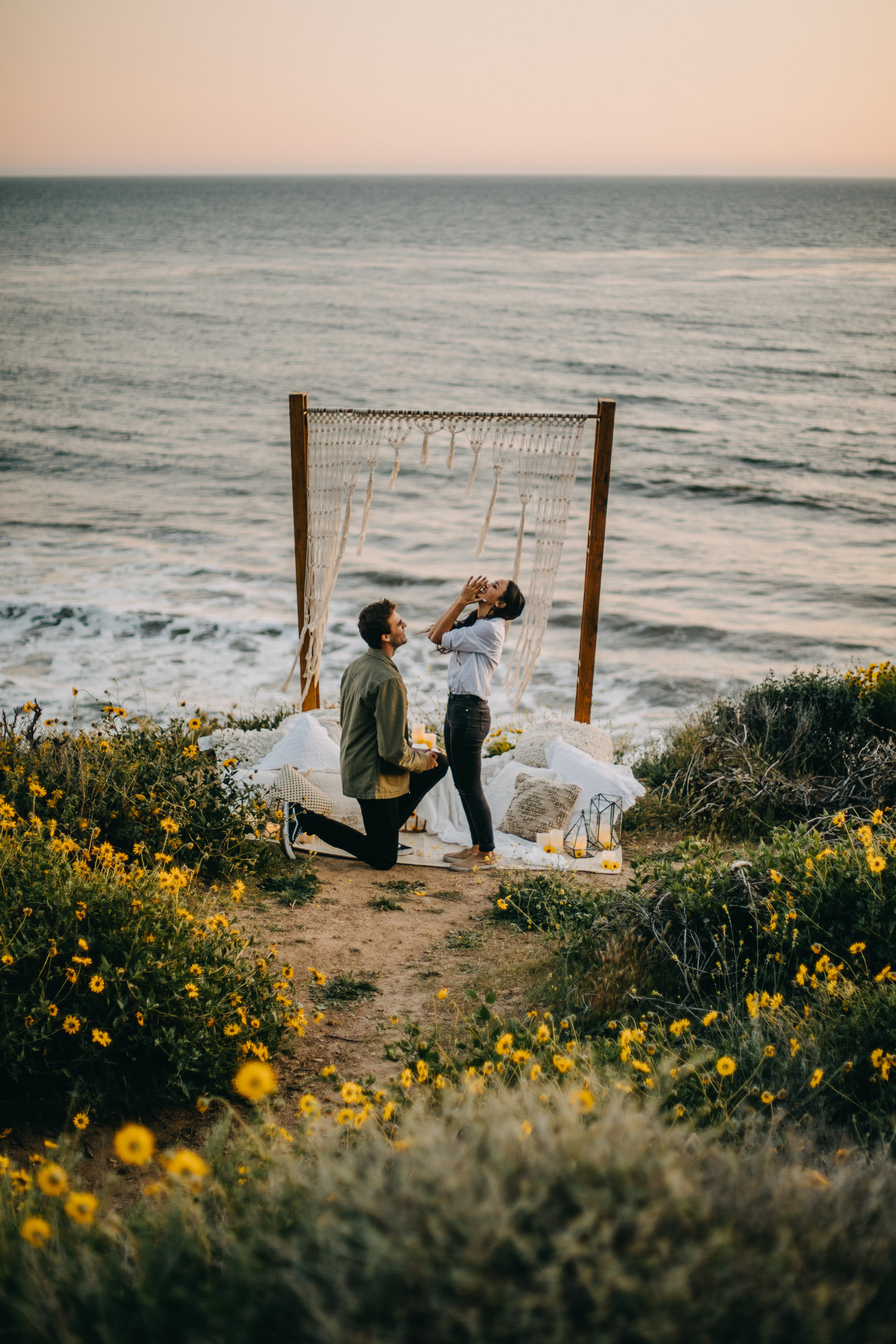 Malibu Beach Proposal