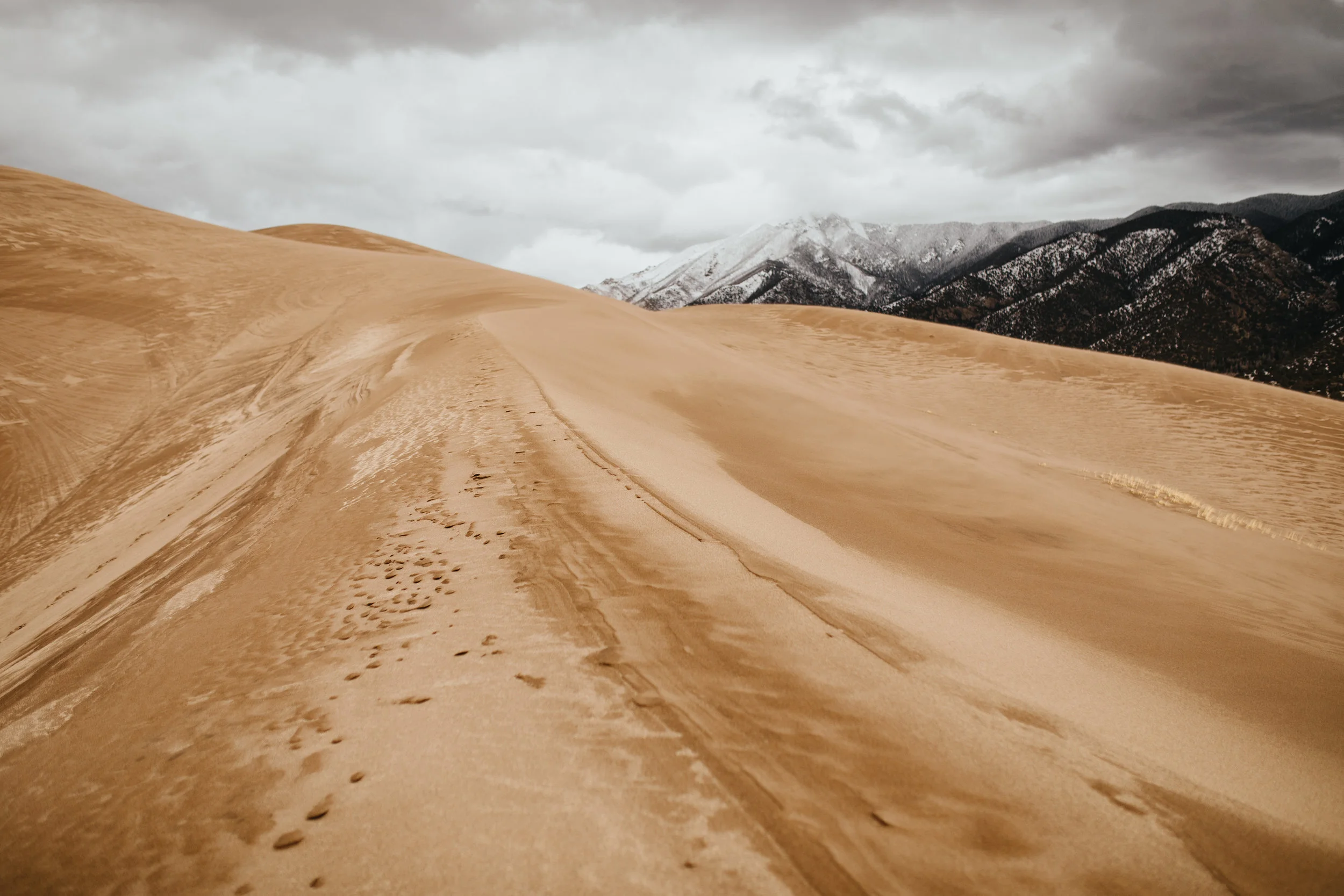Great Sand Dunes National Park Colorado Styled Elopement