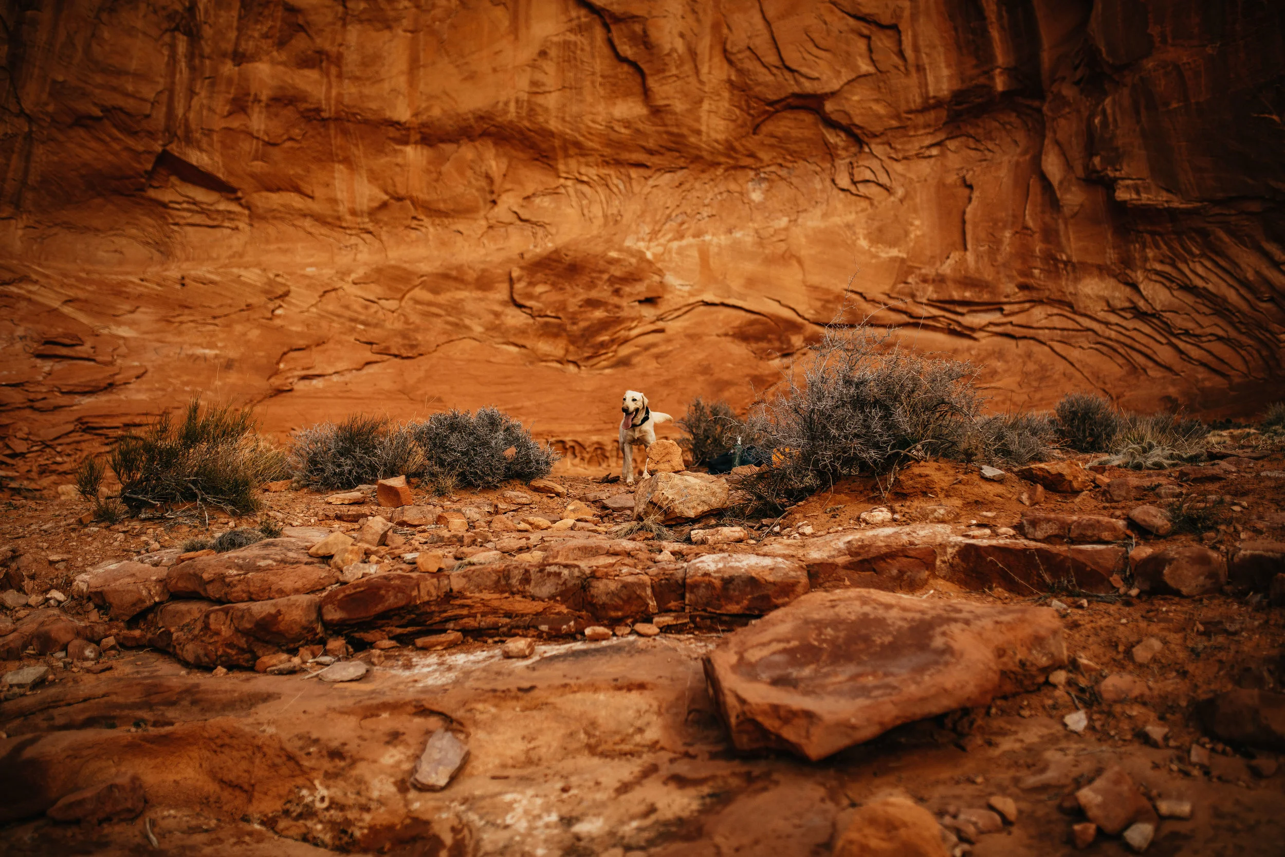 Lifestyle Moab Photography