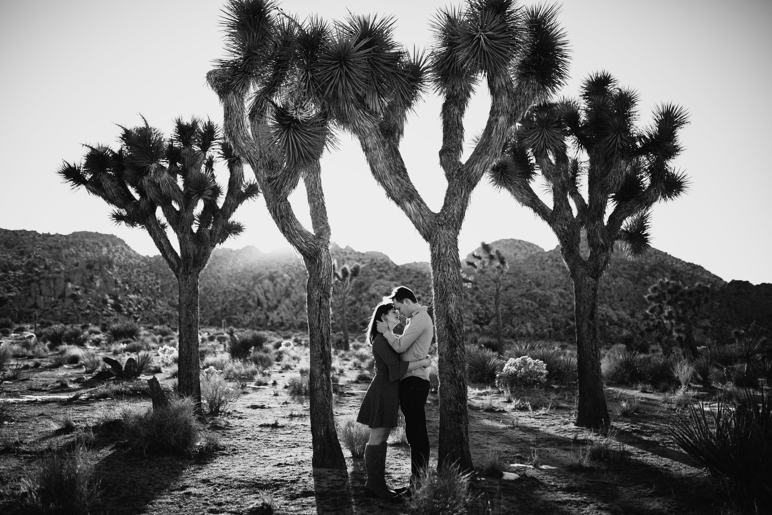Joshua Tree, California Desert Engagement Photos
