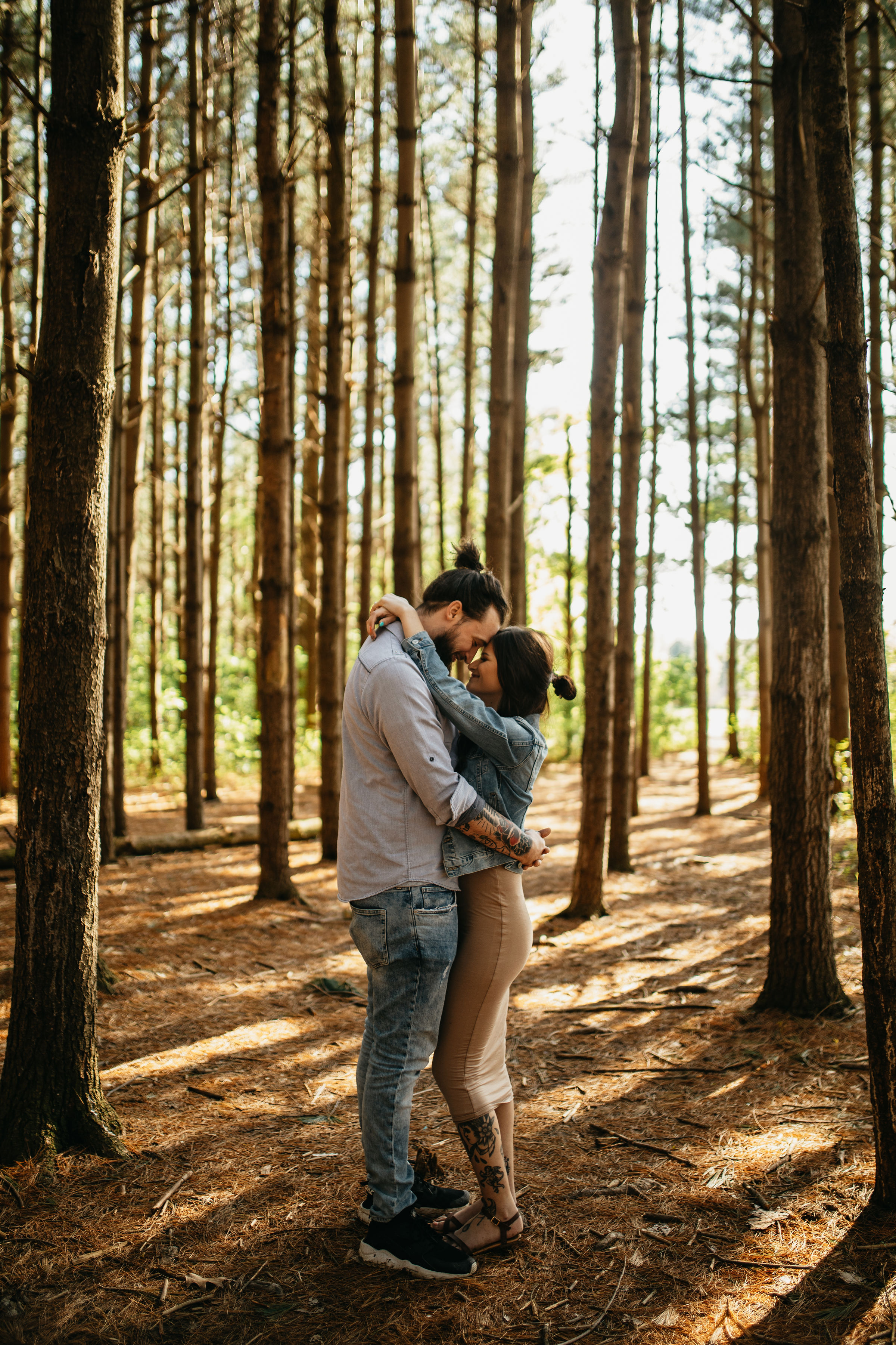 Golden Hour Pine Forest Engagement Session | Columbus Ohio Wedding Photography