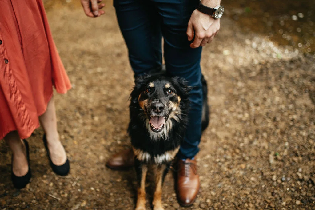 Hocking Hills, Ohio Engagement Photos