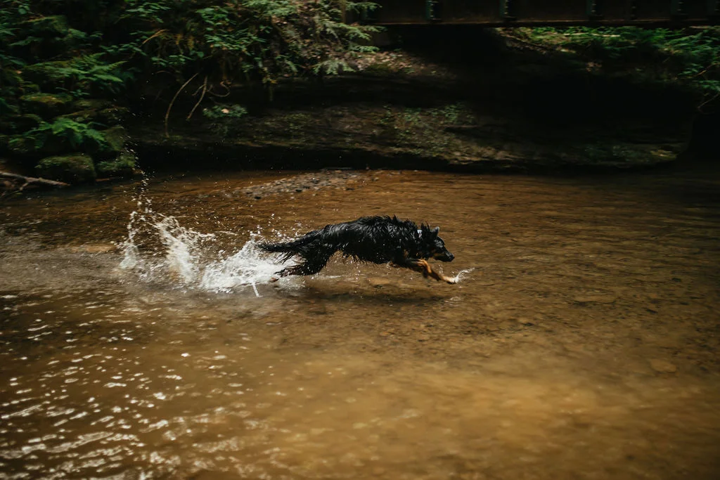 Hocking Hills, Ohio Engagement Photos