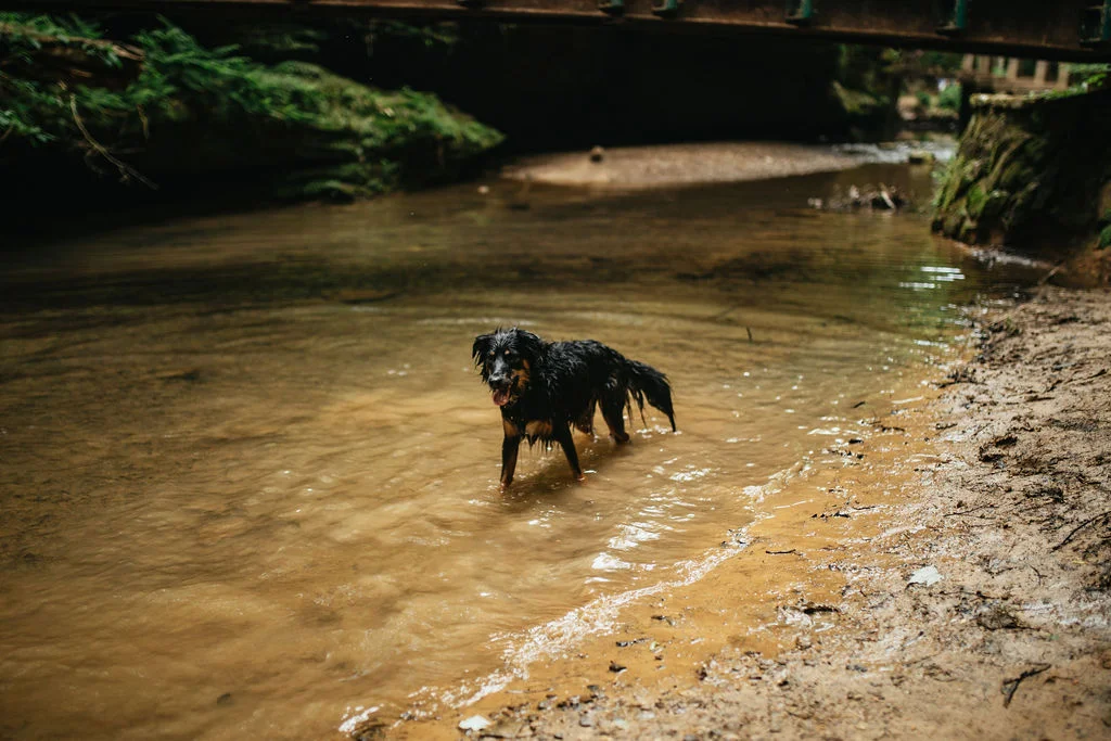 Hocking Hills, Ohio Engagement Photos