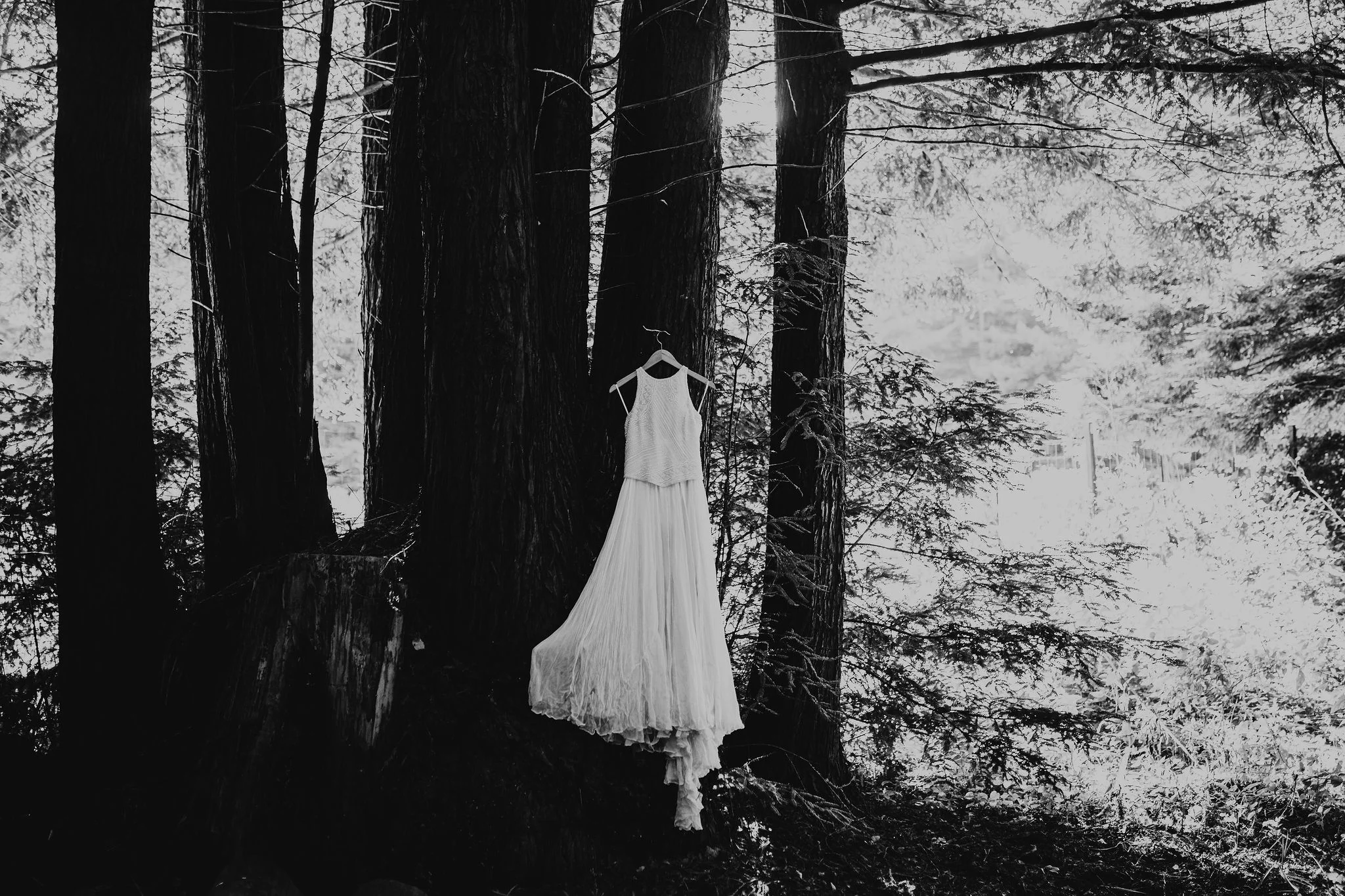 Redwoods National Park California Adventure Elopement