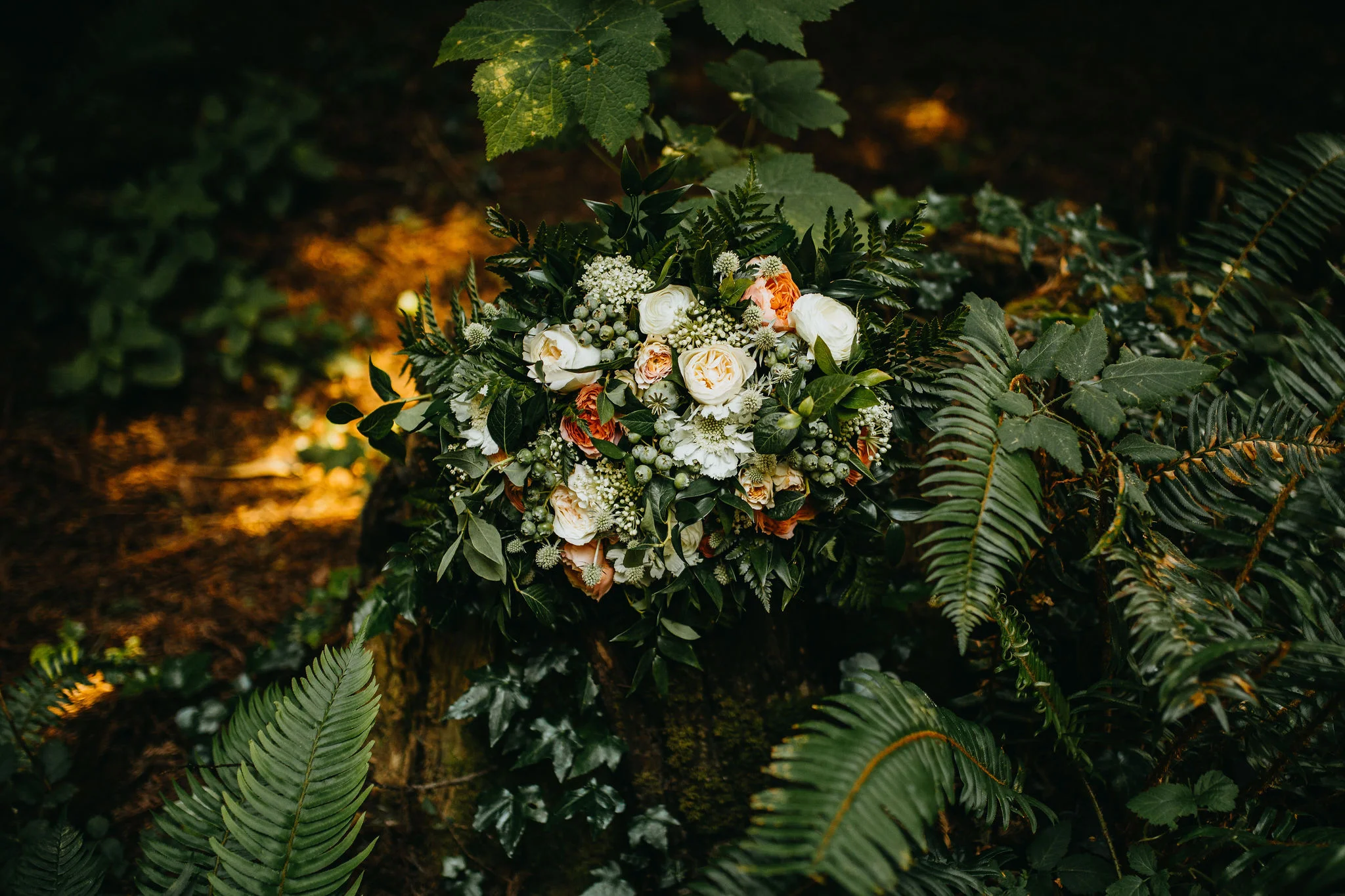 California Elopement &amp; Wedding Photography/Videography by Christina &amp; Jeremiah