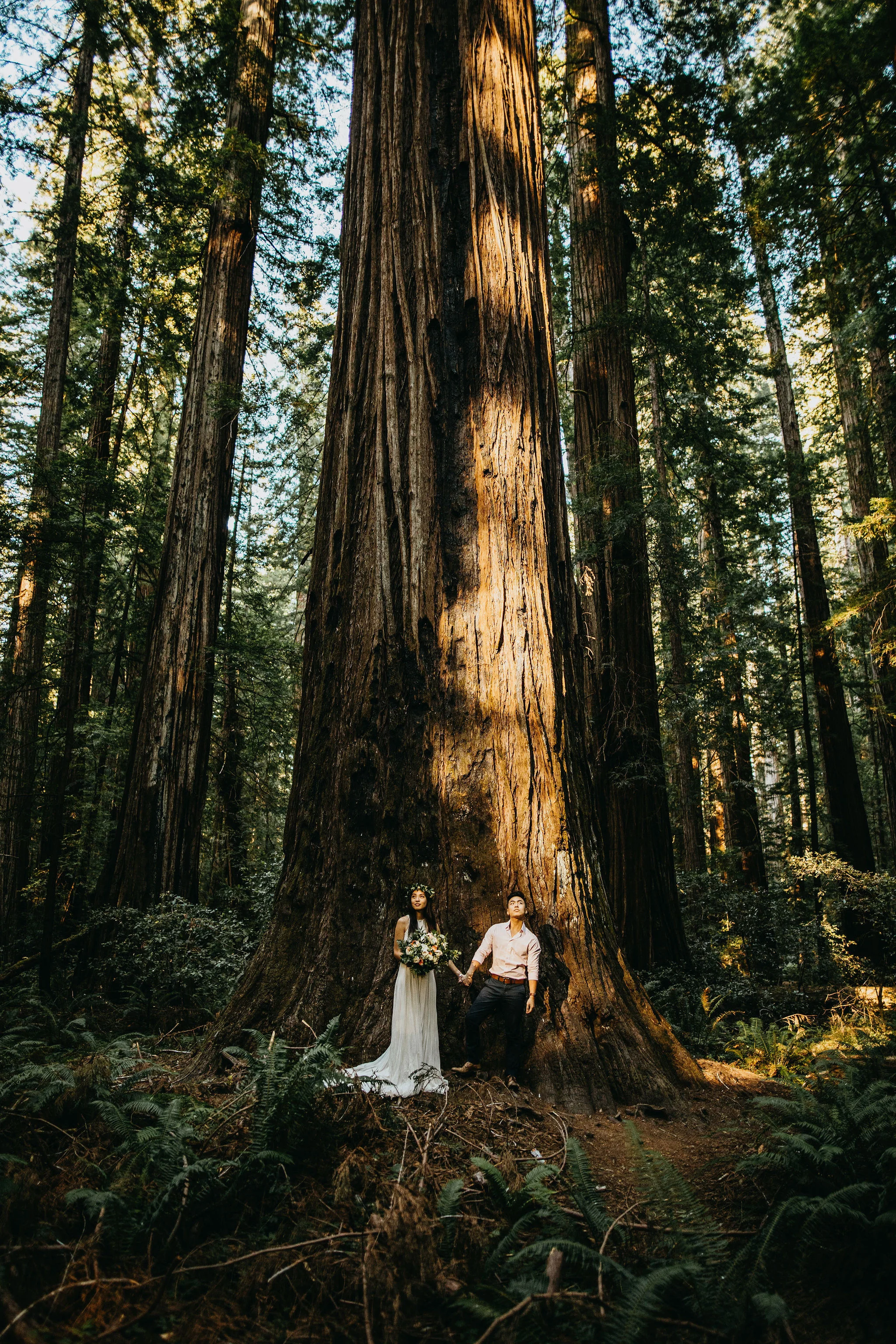 California Elopement &amp; Wedding Photography/Videography by Christina &amp; Jeremiah