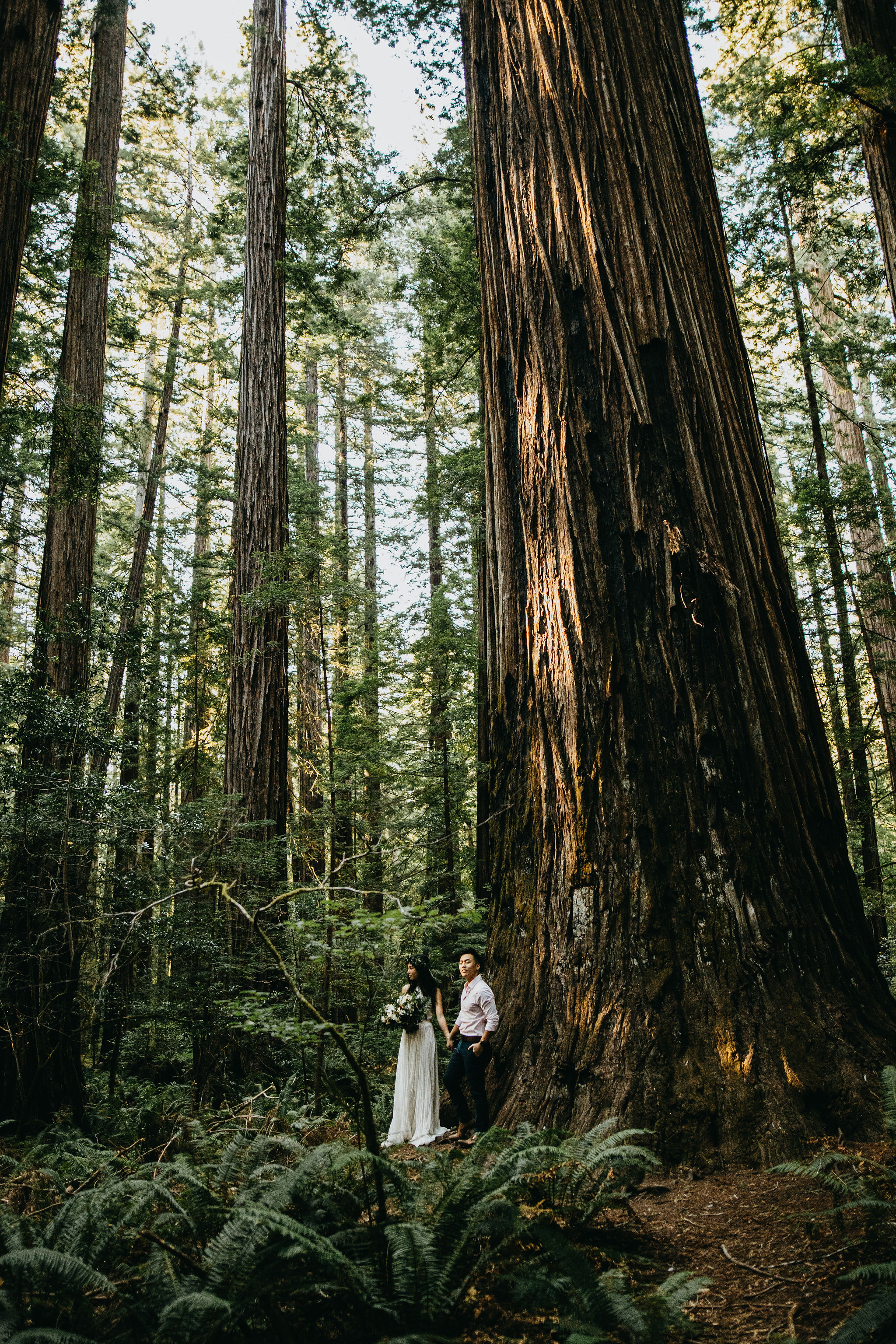 California Elopement &amp; Wedding Photography/Videography by Christina &amp; Jeremiah