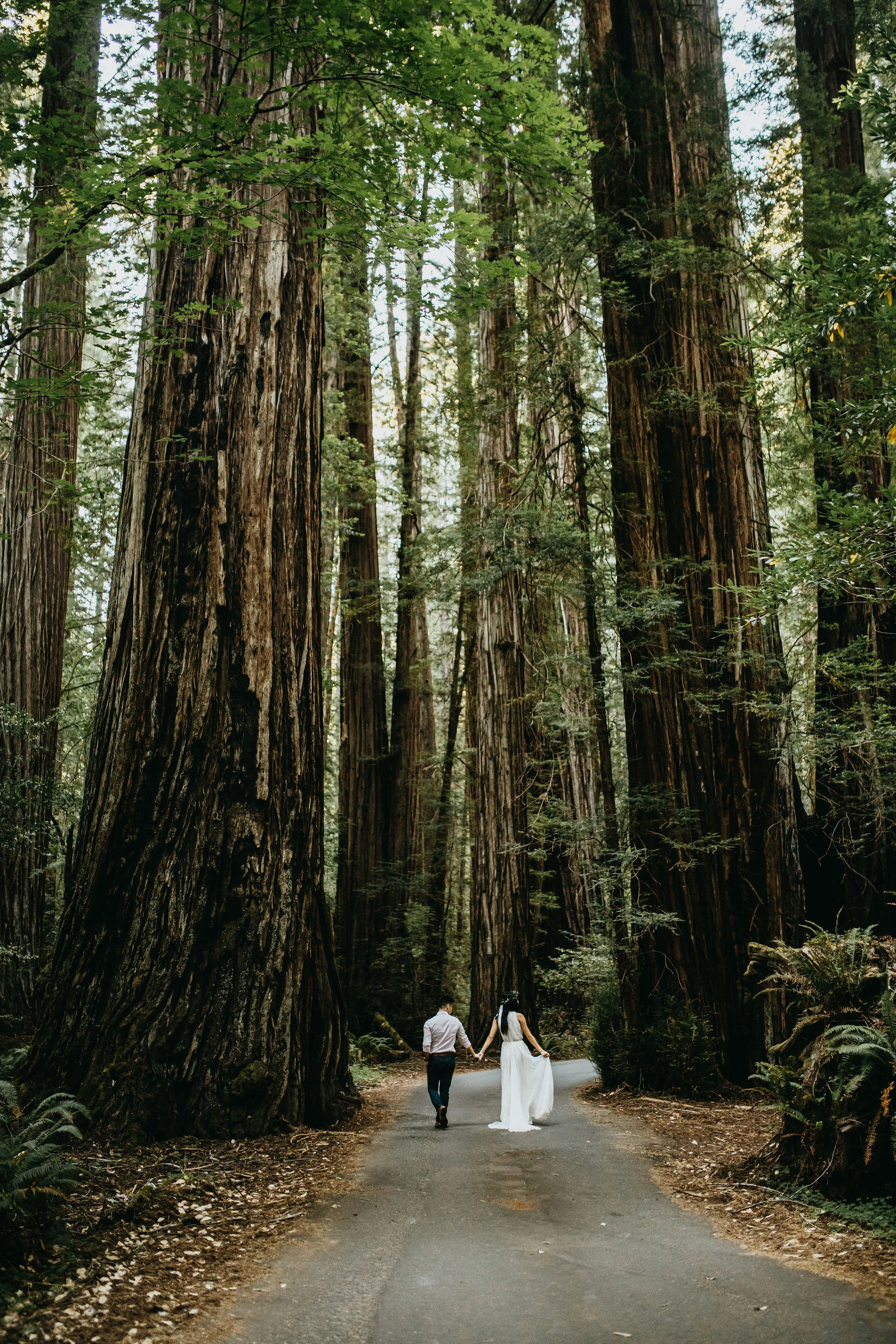 California Elopement &amp; Wedding Photography/Videography by Christina &amp; Jeremiah