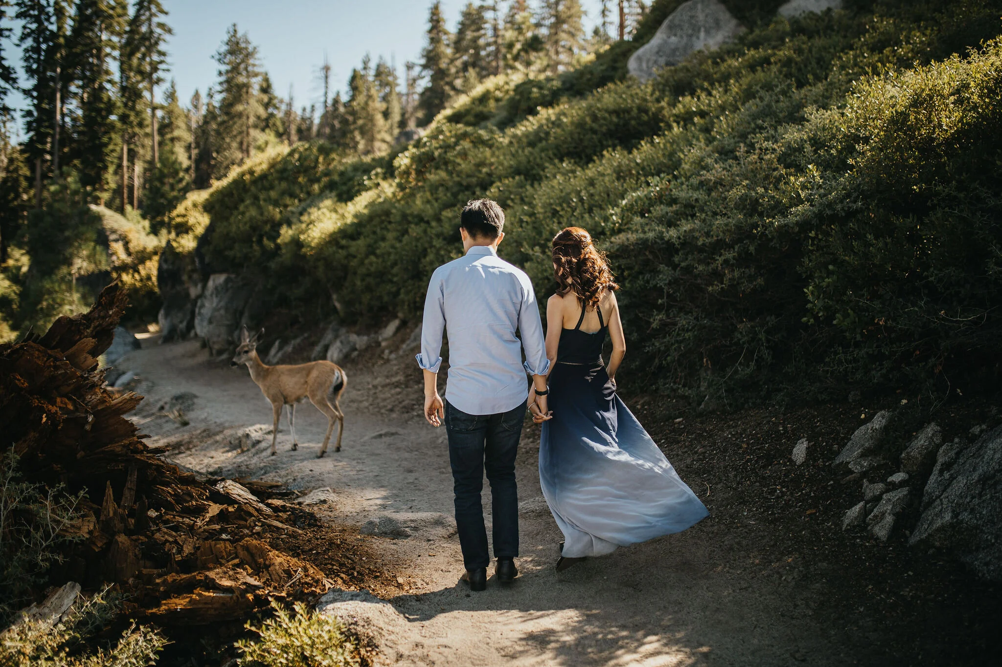 Yosemite National Park, California Wedding &amp; Elopement Photography/Videography by Christina &amp; Jeremiah