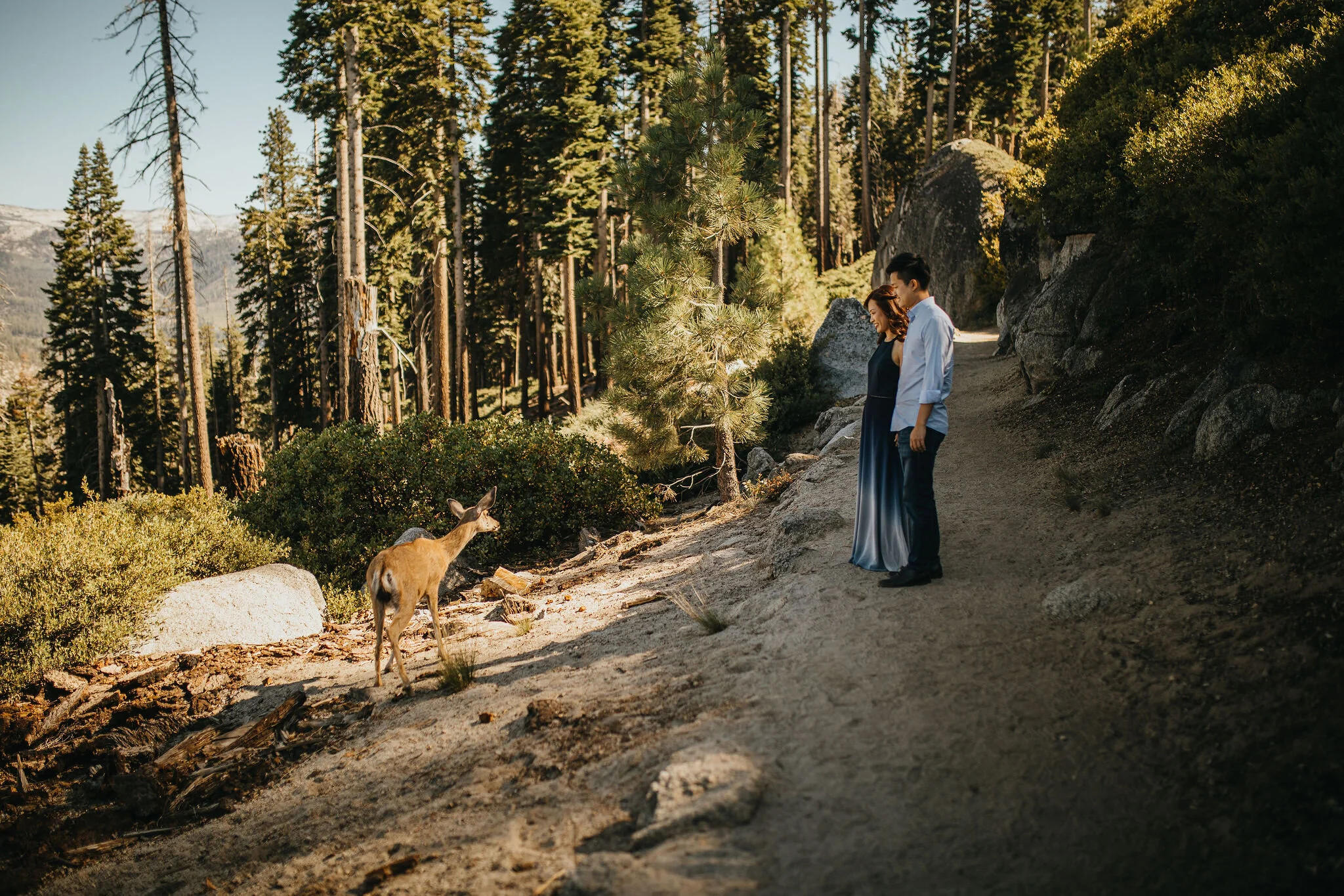 Yosemite National Park, California Wedding &amp; Elopement Photography/Videography by Christina &amp; Jeremiah