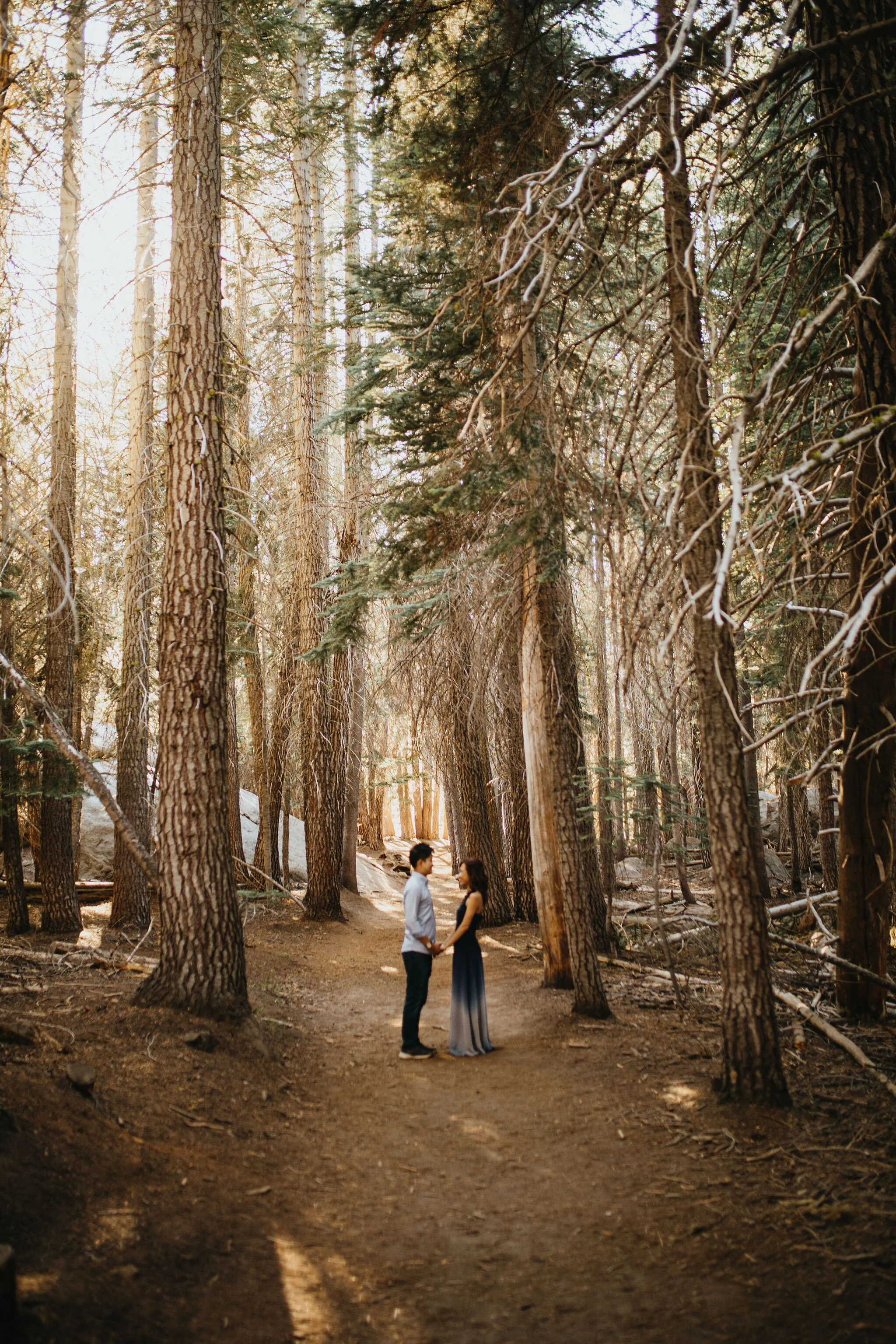 Yosemite National Park, California Wedding &amp; Elopement Photography/Videography by Christina &amp; Jeremiah