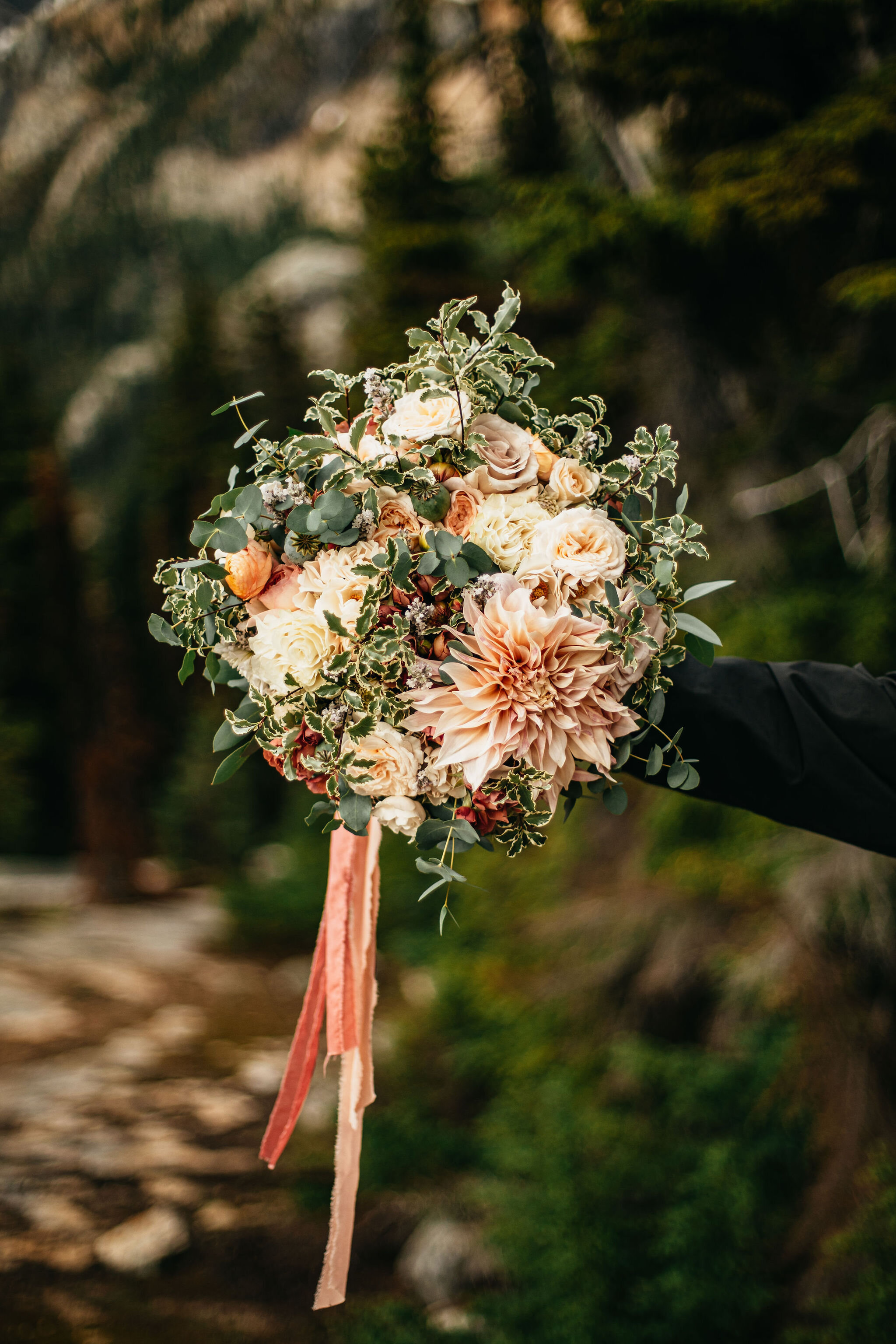 Seattle, Washington Wedding &amp; Elopement Photography/Videography by Christina &amp; Jeremiah