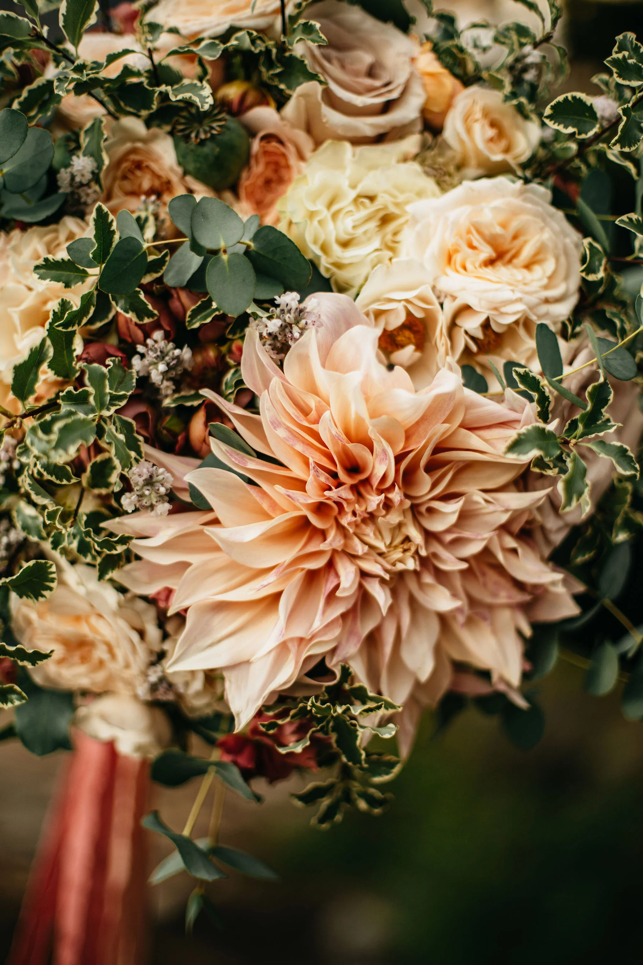 Seattle, Washington Wedding &amp; Elopement Photography/Videography by Christina &amp; Jeremiah