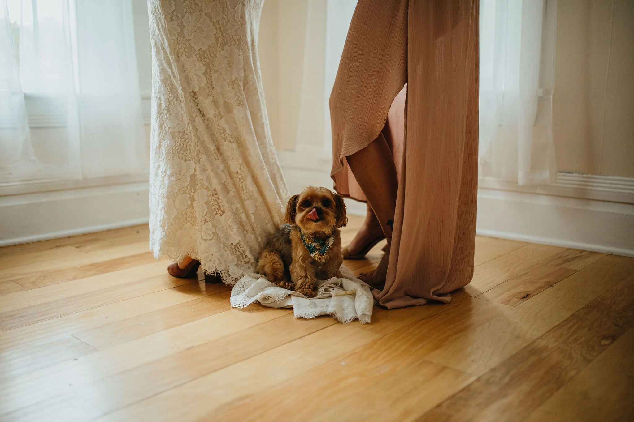 Akron, Ohio Wedding Photo/Video Team Christina &amp; Jeremiah