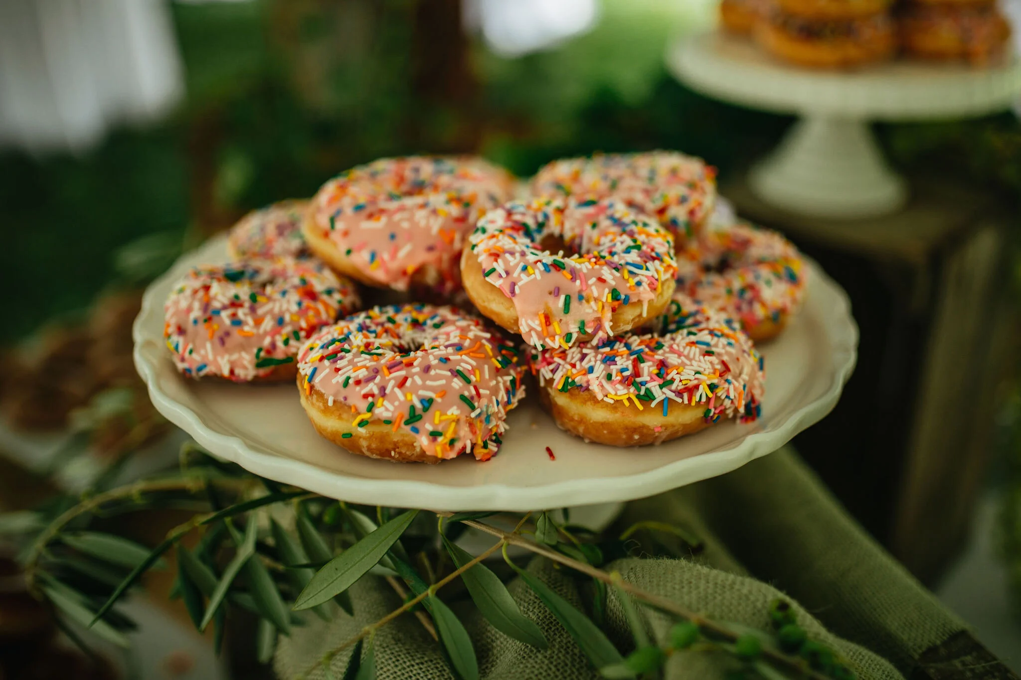 National Park Wedding Photo/Video Team Christina &amp; Jeremiah