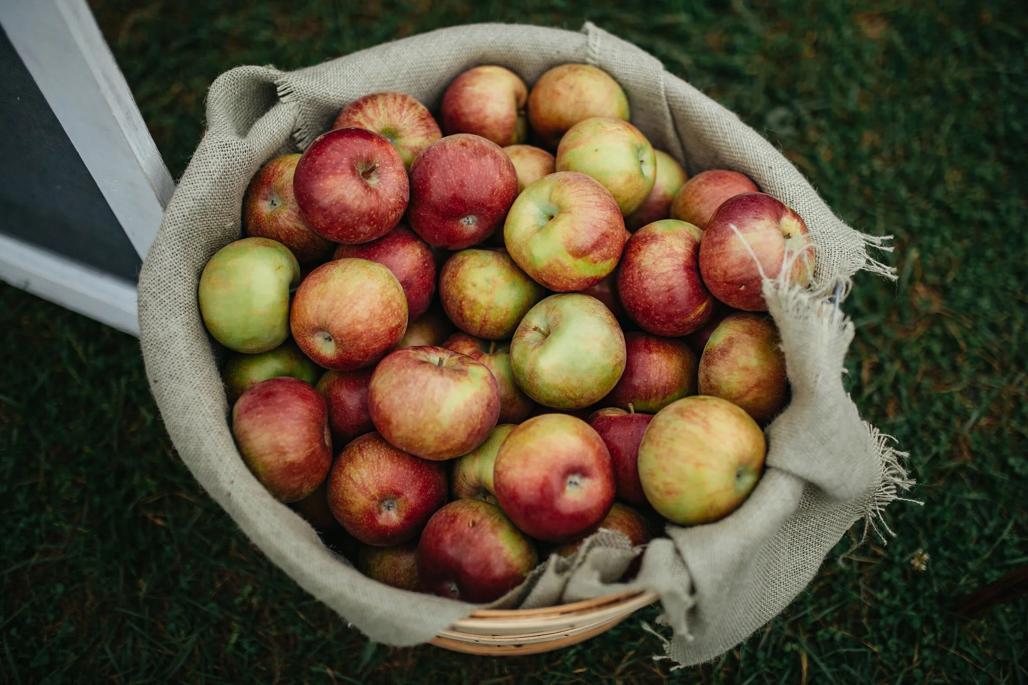 National Park Wedding Photo/Video Team Christina &amp; Jeremiah