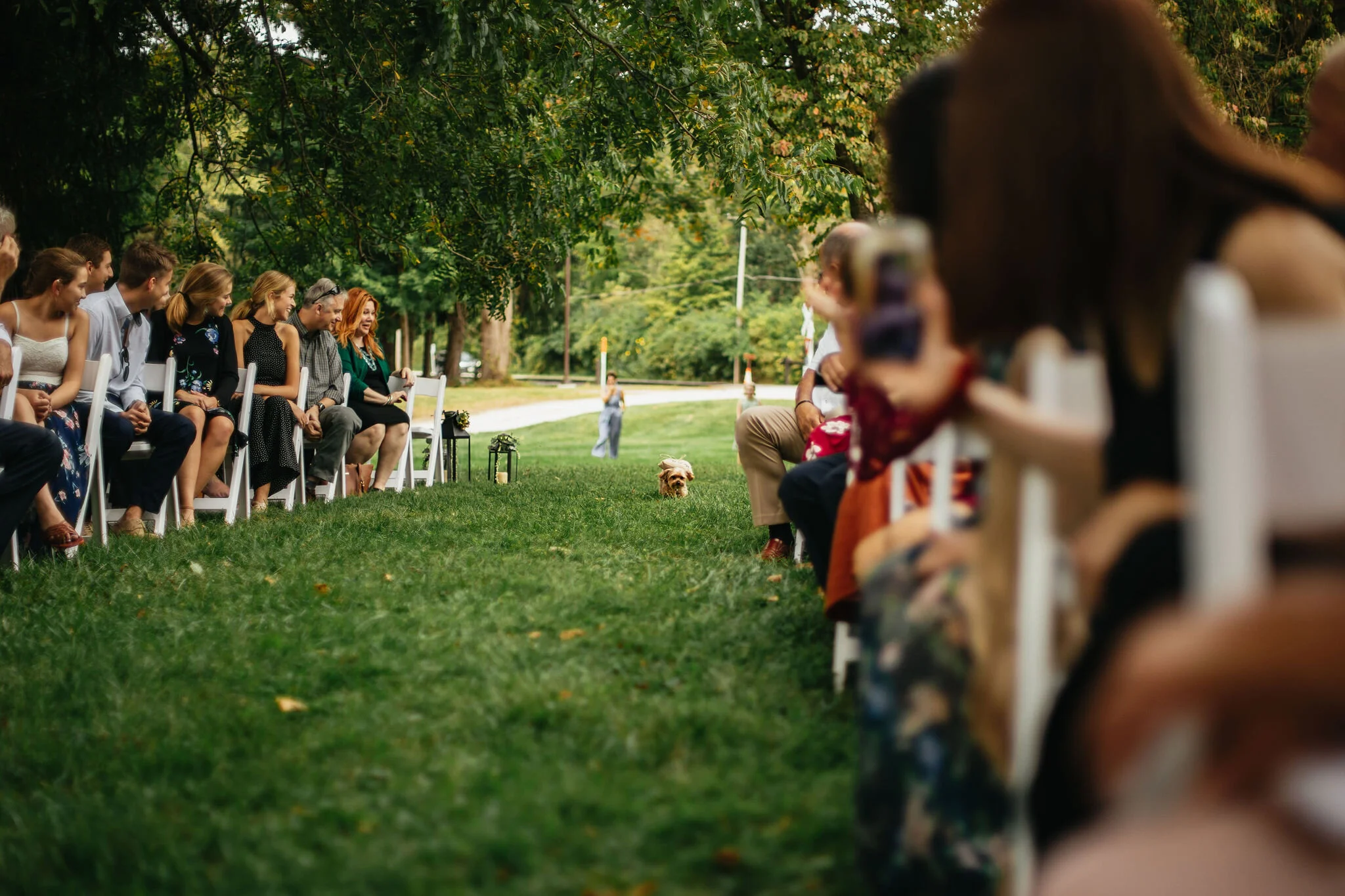 National Park Wedding Photo/Video Team Christina &amp; Jeremiah