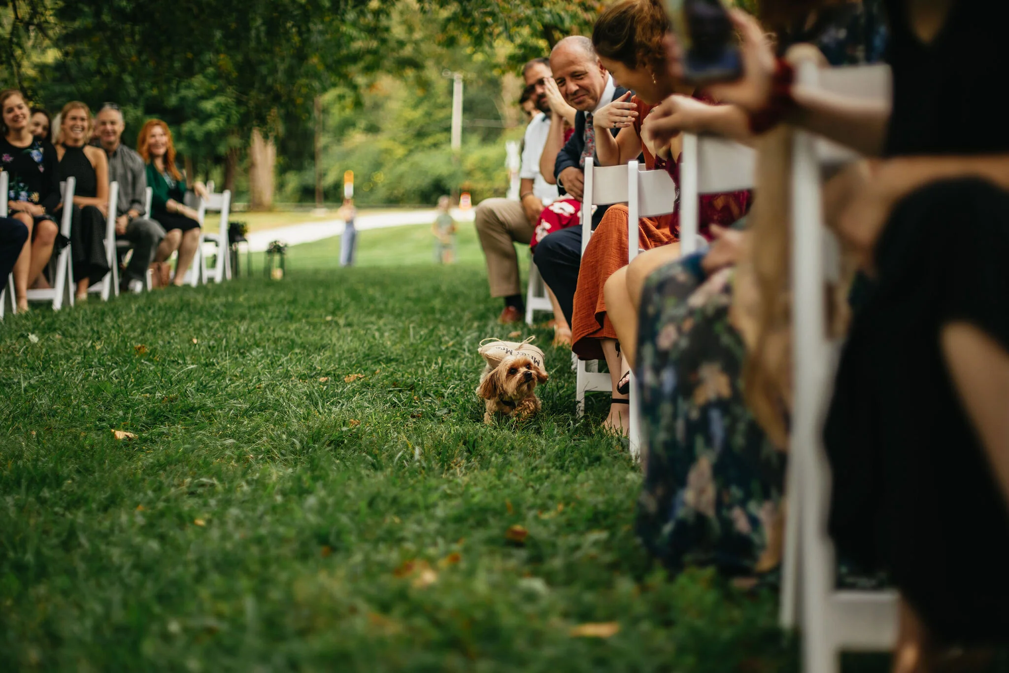 National Park Wedding Photo/Video Team Christina &amp; Jeremiah