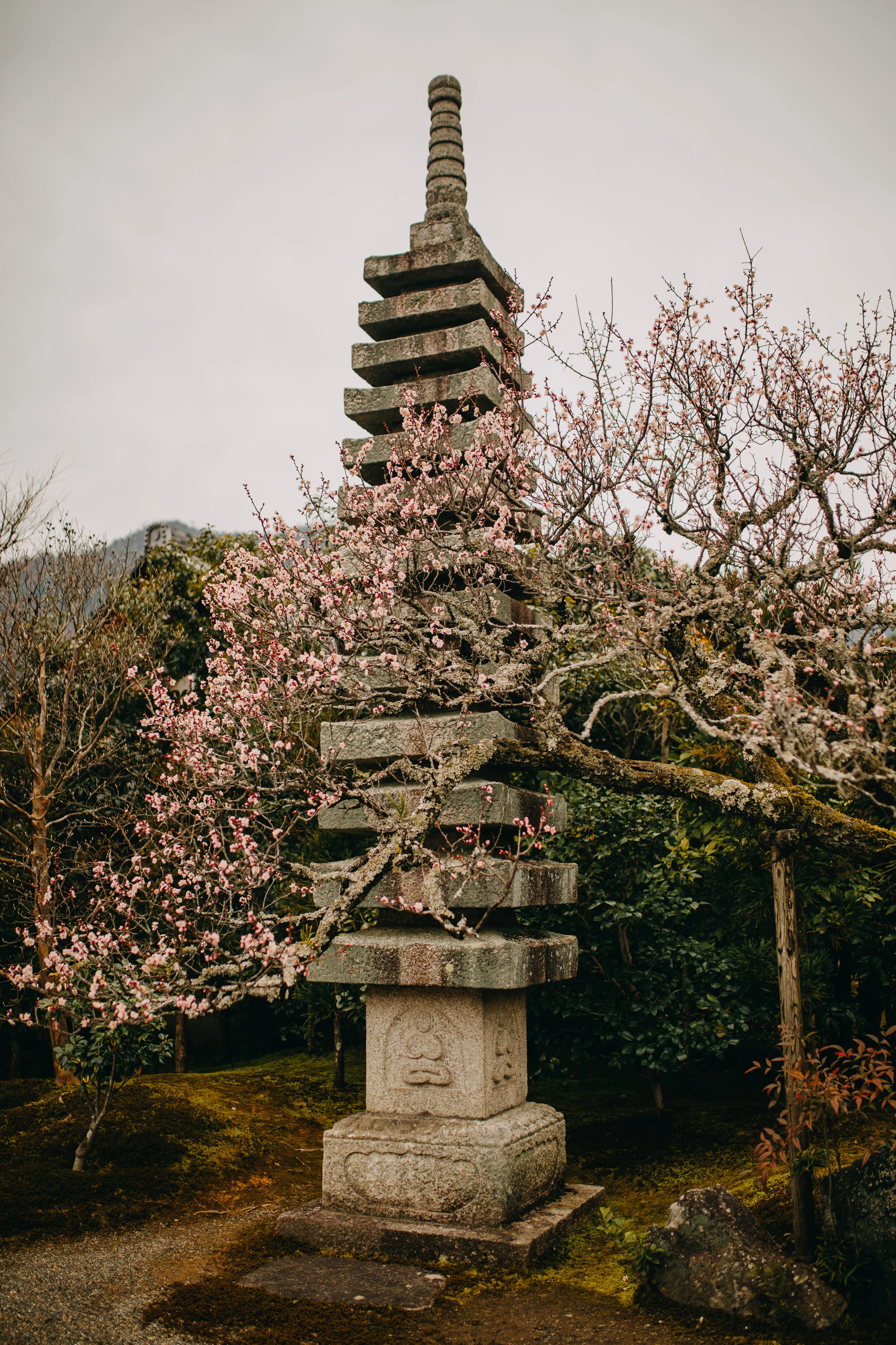 Kyoto Photography