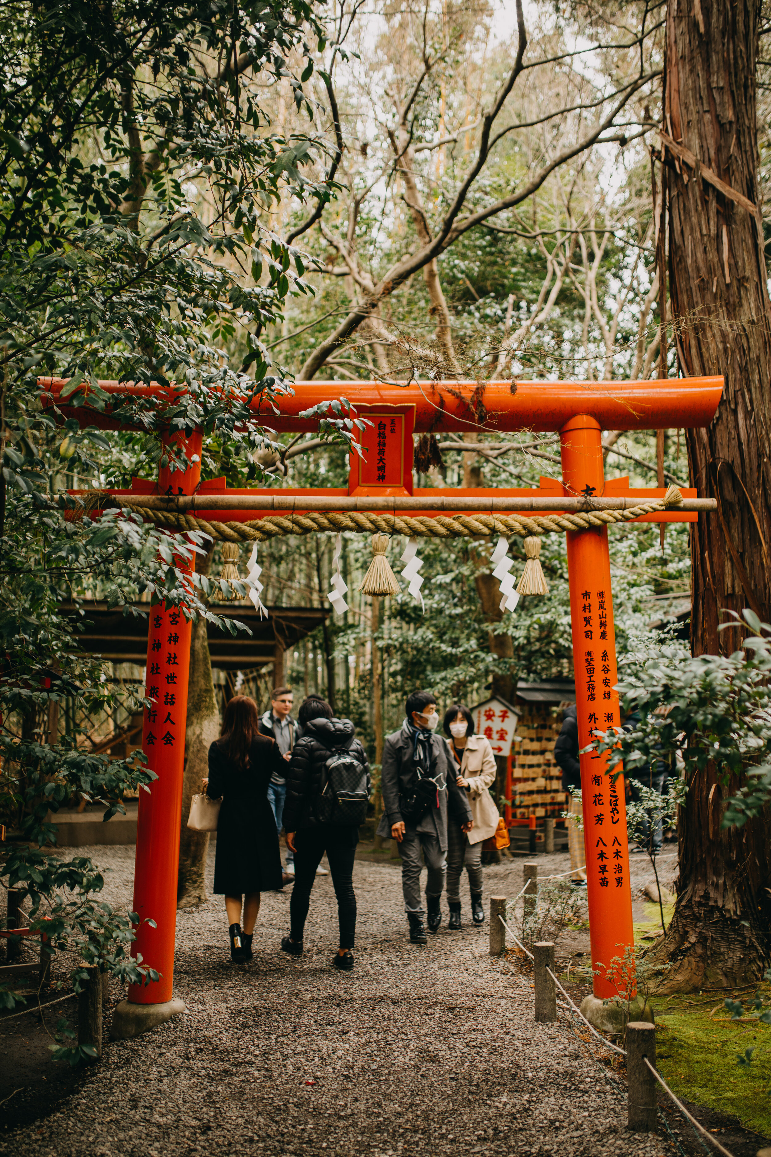 Arashiyama Bamboo Forest Photography