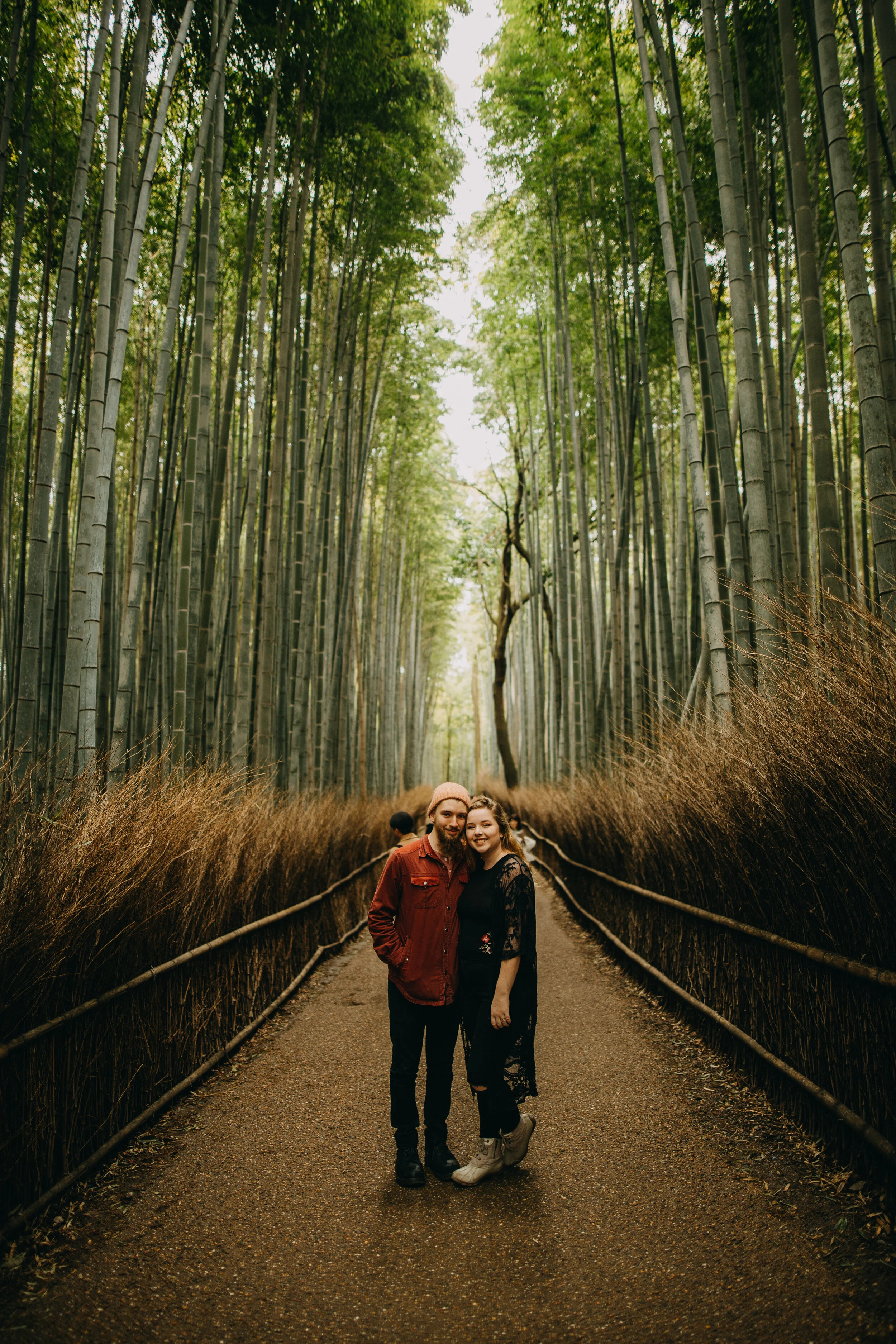 Arashiyama Bamboo Forest Photography