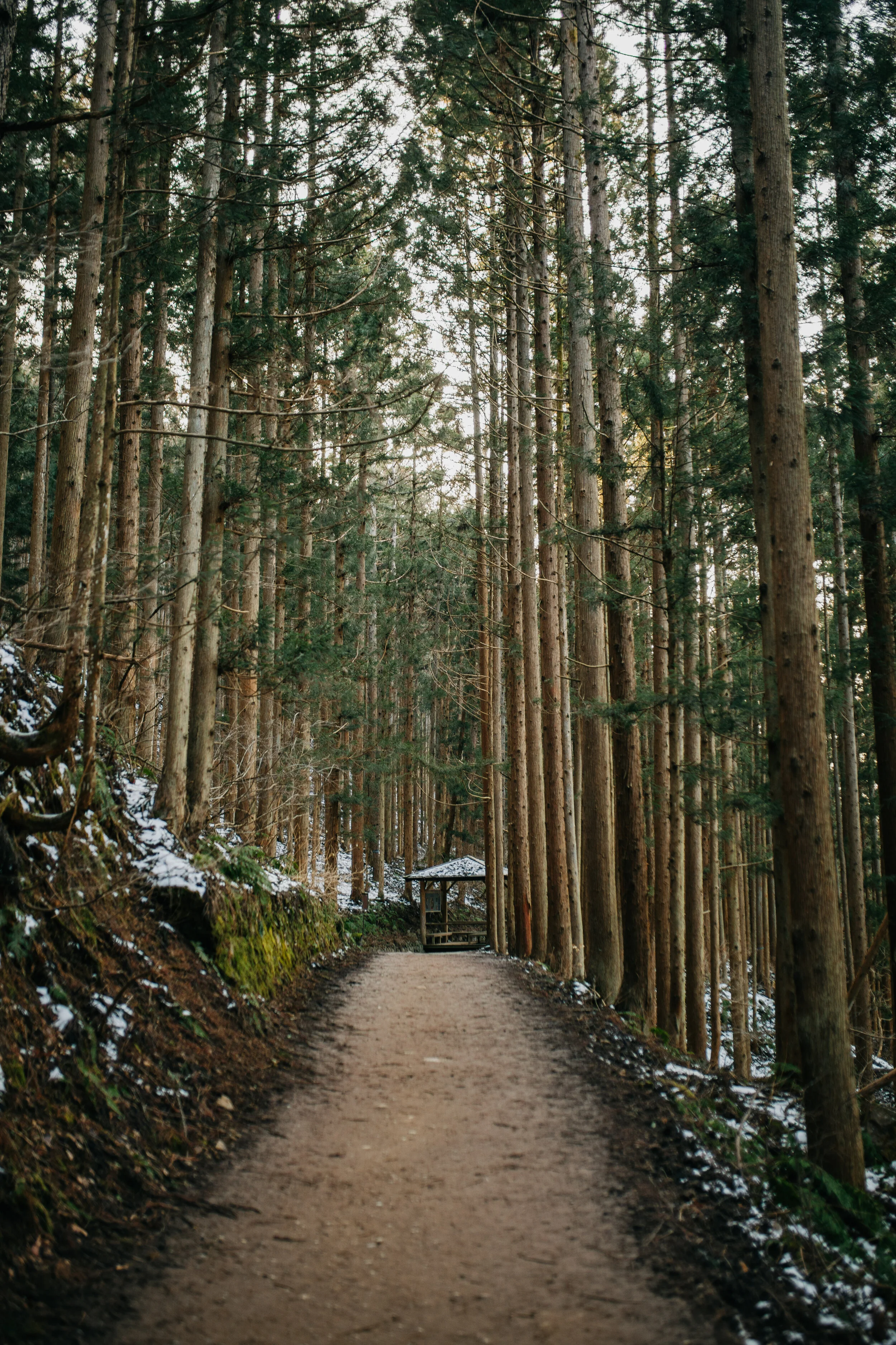 Nagano Photos