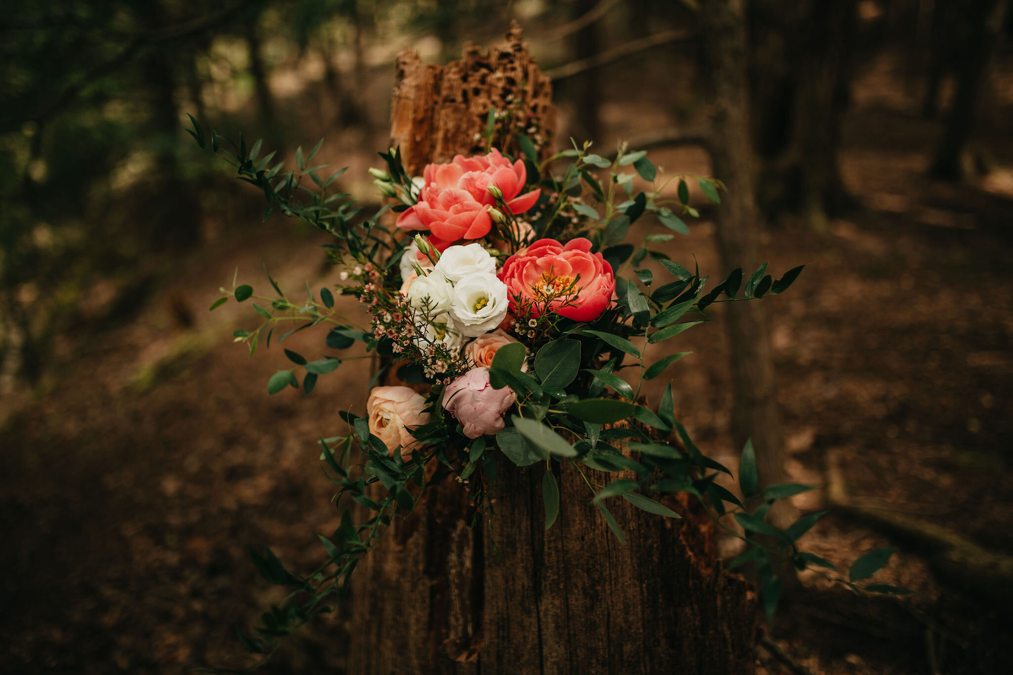 Bridal Bouquet Forest Photos