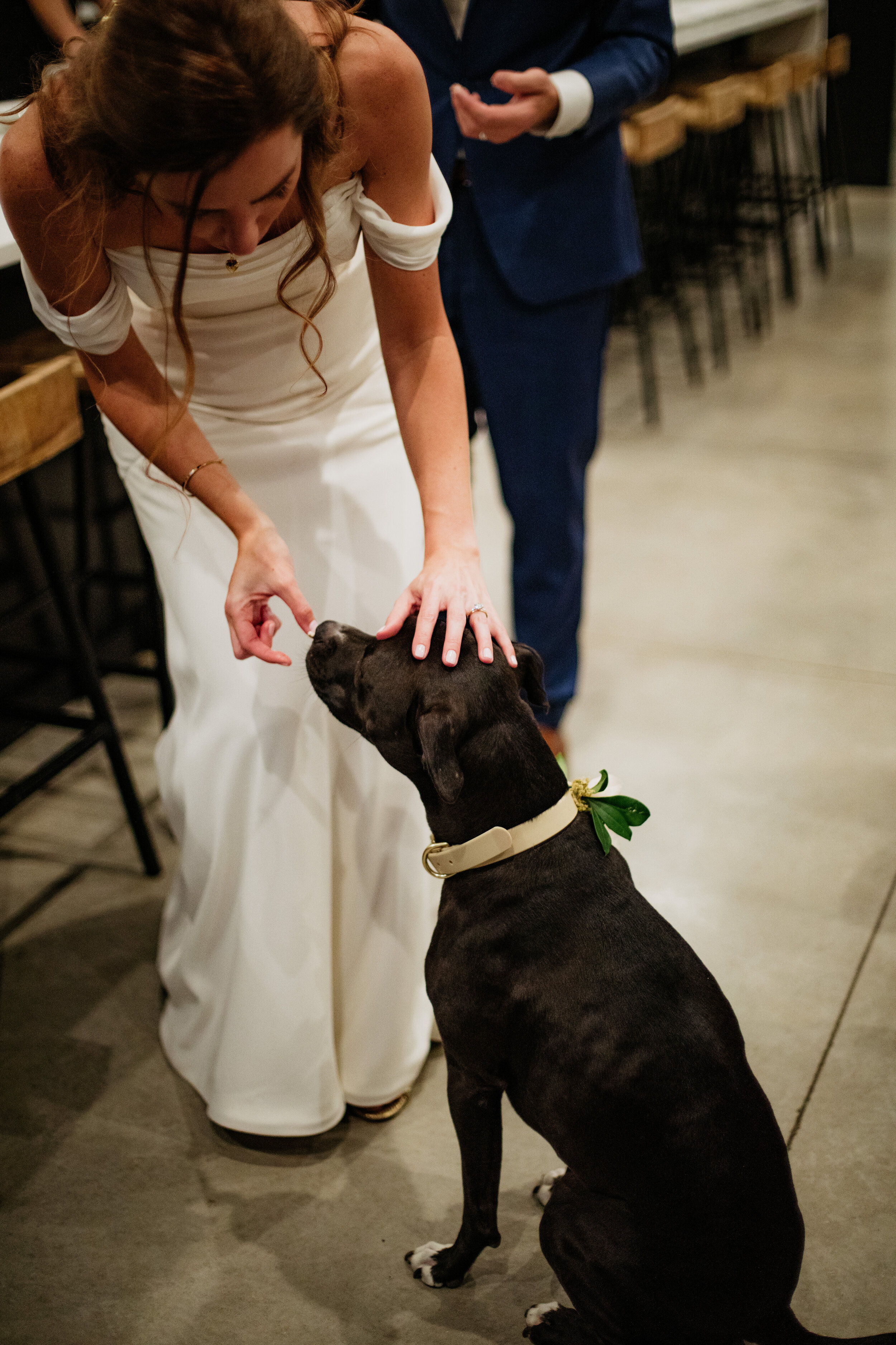 Michigan Wedding Photography