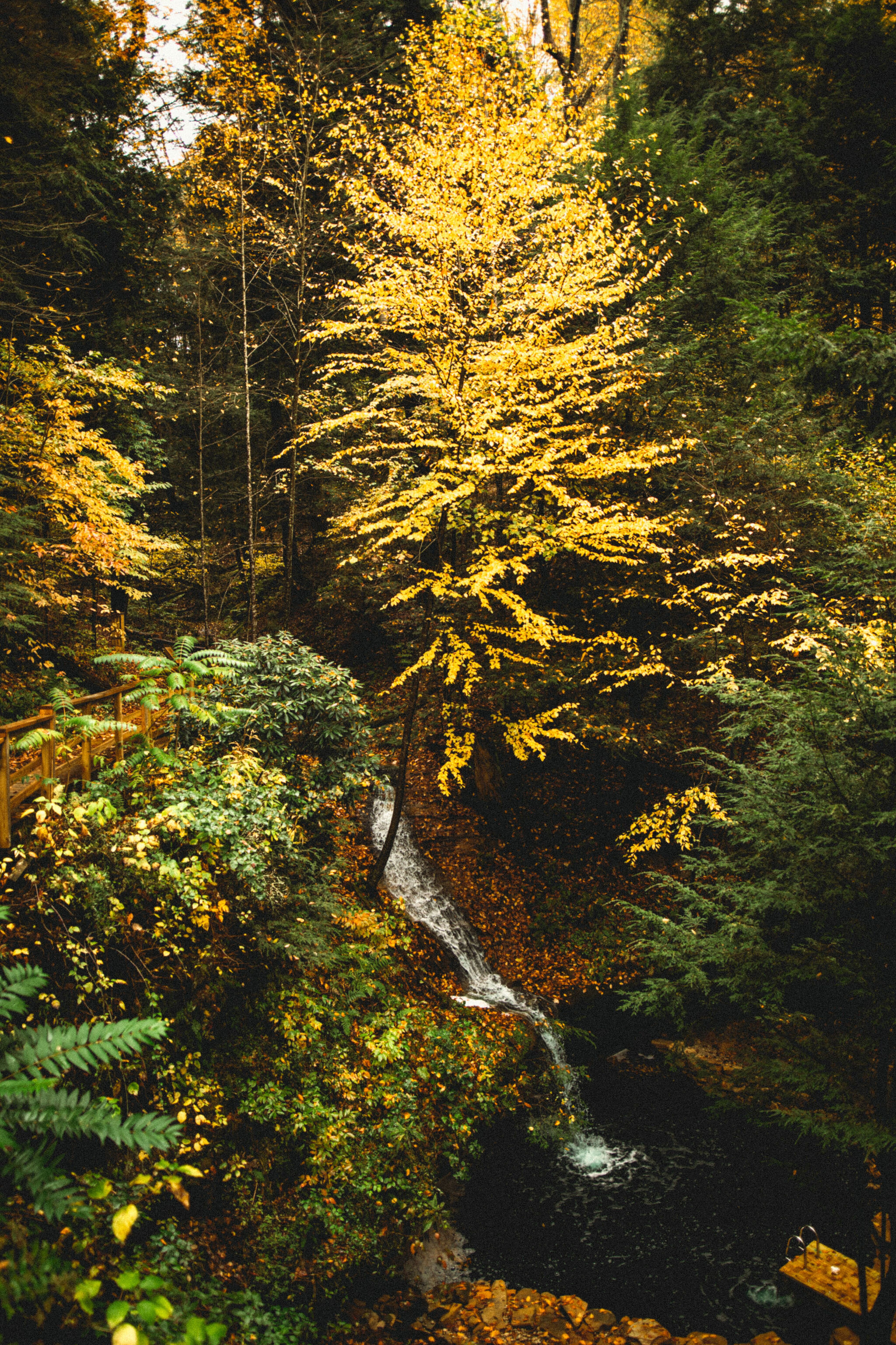 Autumn in Ohio | Hocking Hills State Park