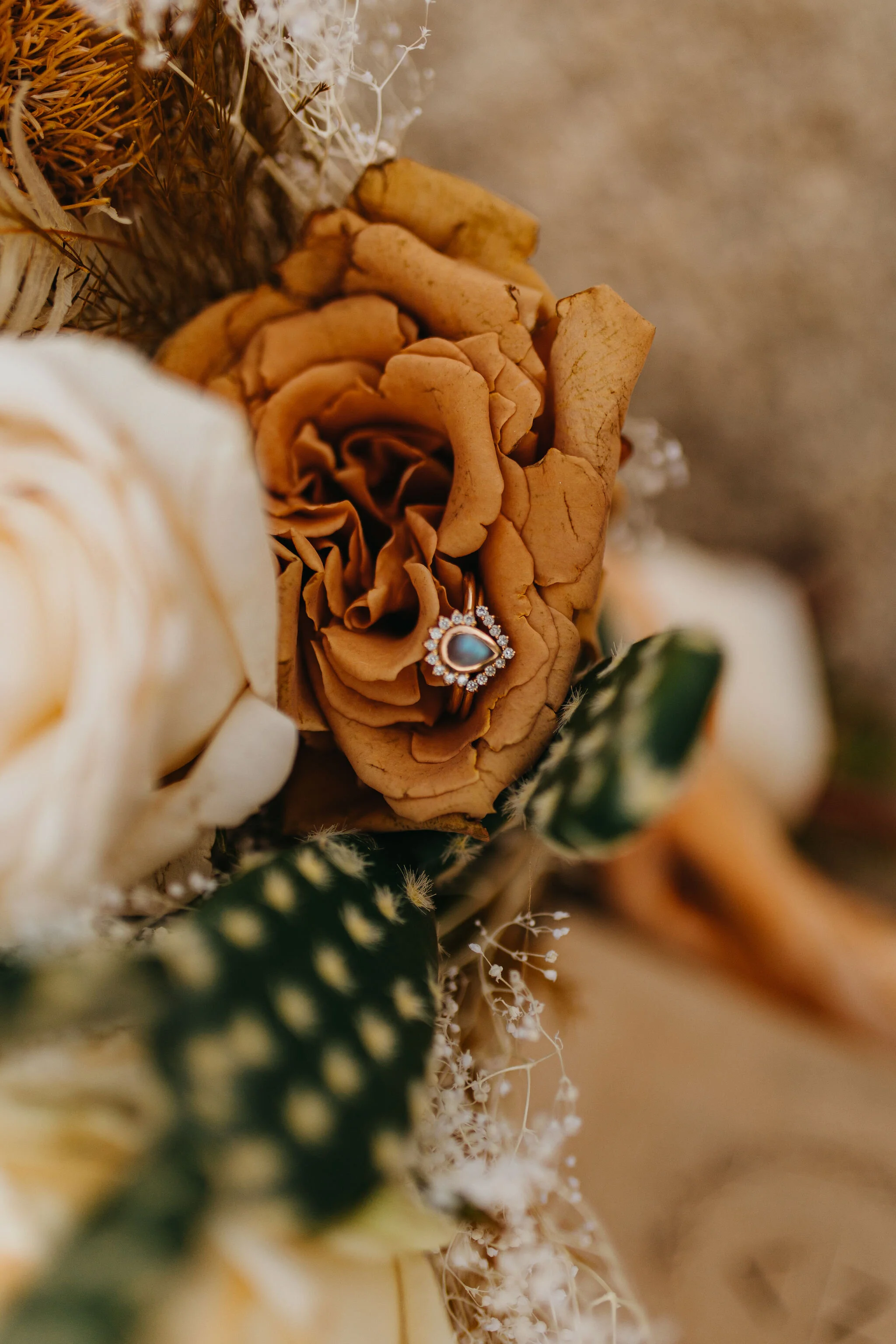 Joshua Tree National Park, California Elopement Photos