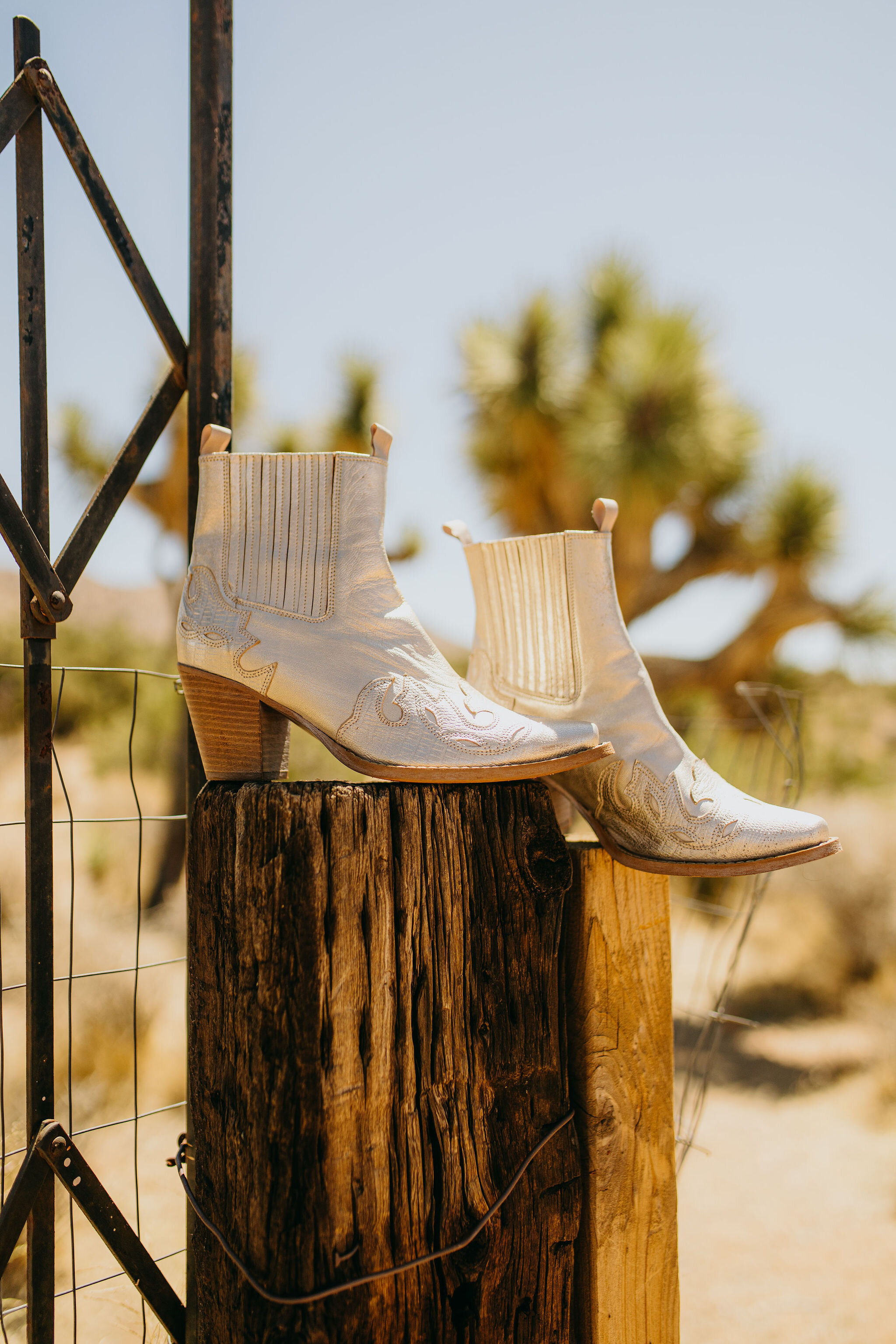 Joshua Tree Desert Wedding Inspiration