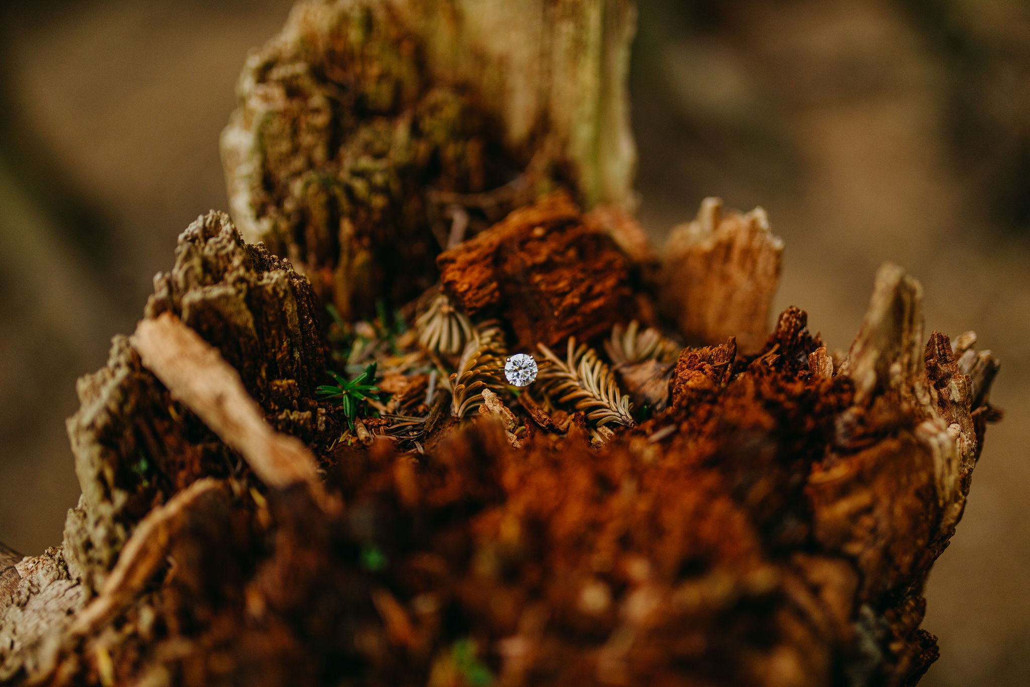 Rattlesnake Ridge Engagement Photos