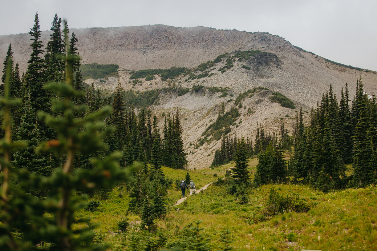 Mount Rainier National Park Elopement Photos