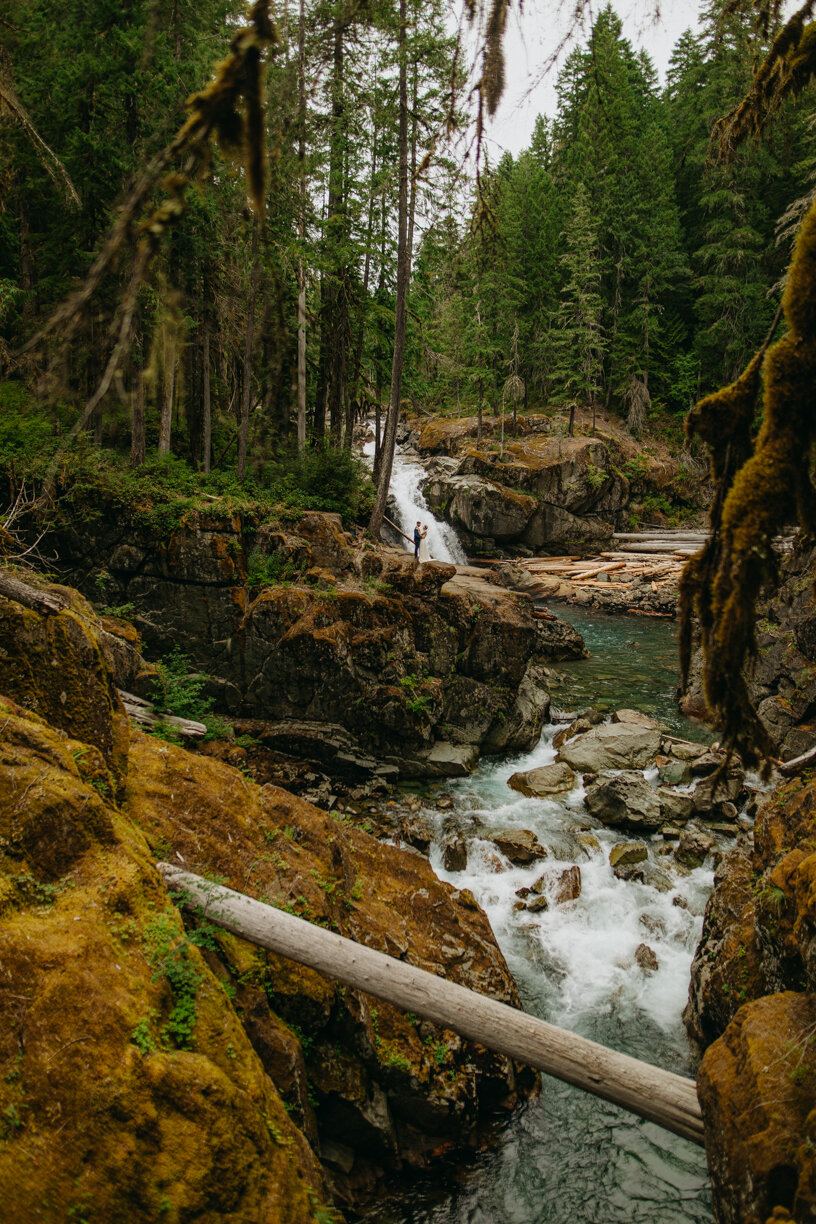 Mount Rainier National Park Elopement Photos