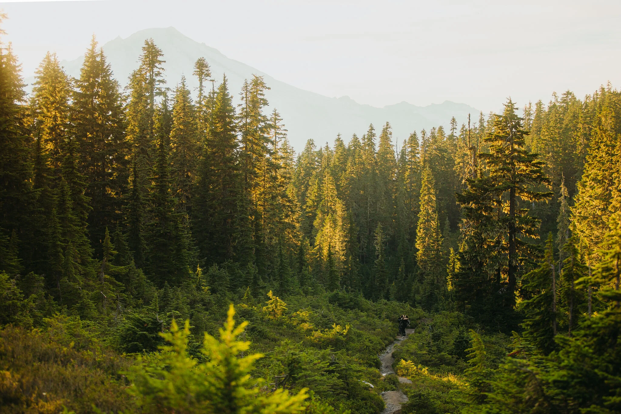 Washington Wedding &amp; Elopement Photographer