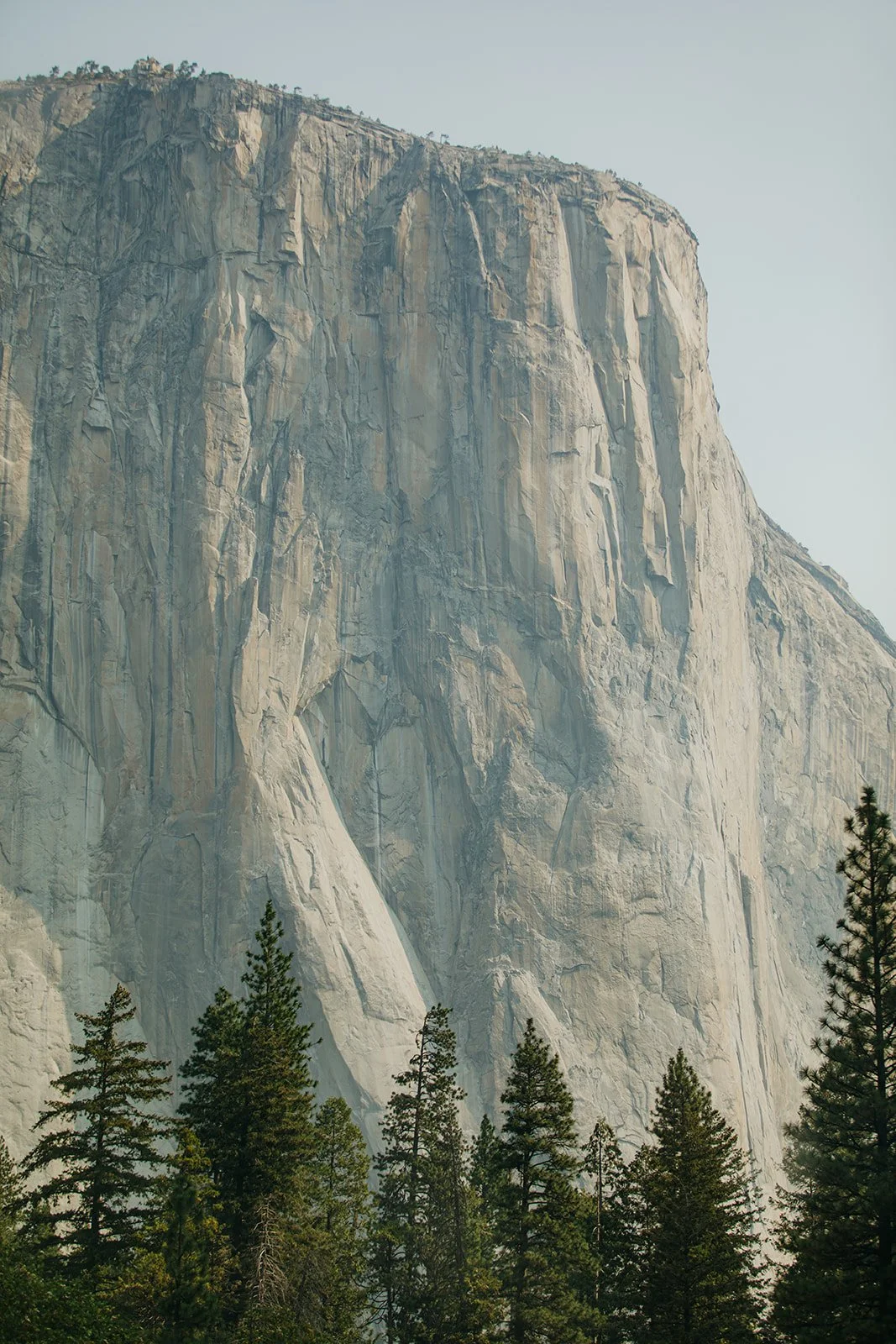 Yosemite Wedding Elopement Photos