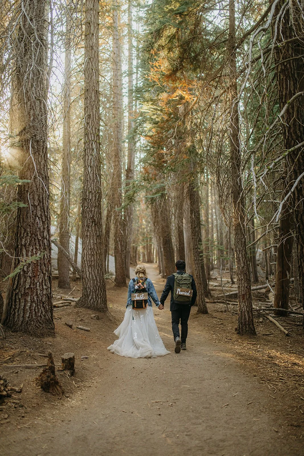 Yosemite Wedding Elopement Photos