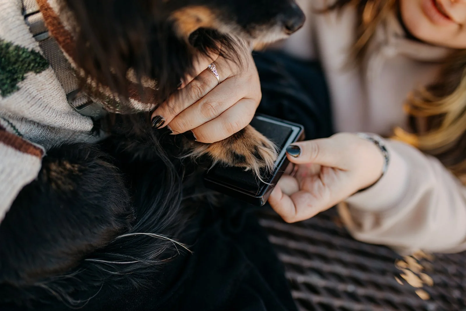 Dog signing marriage license