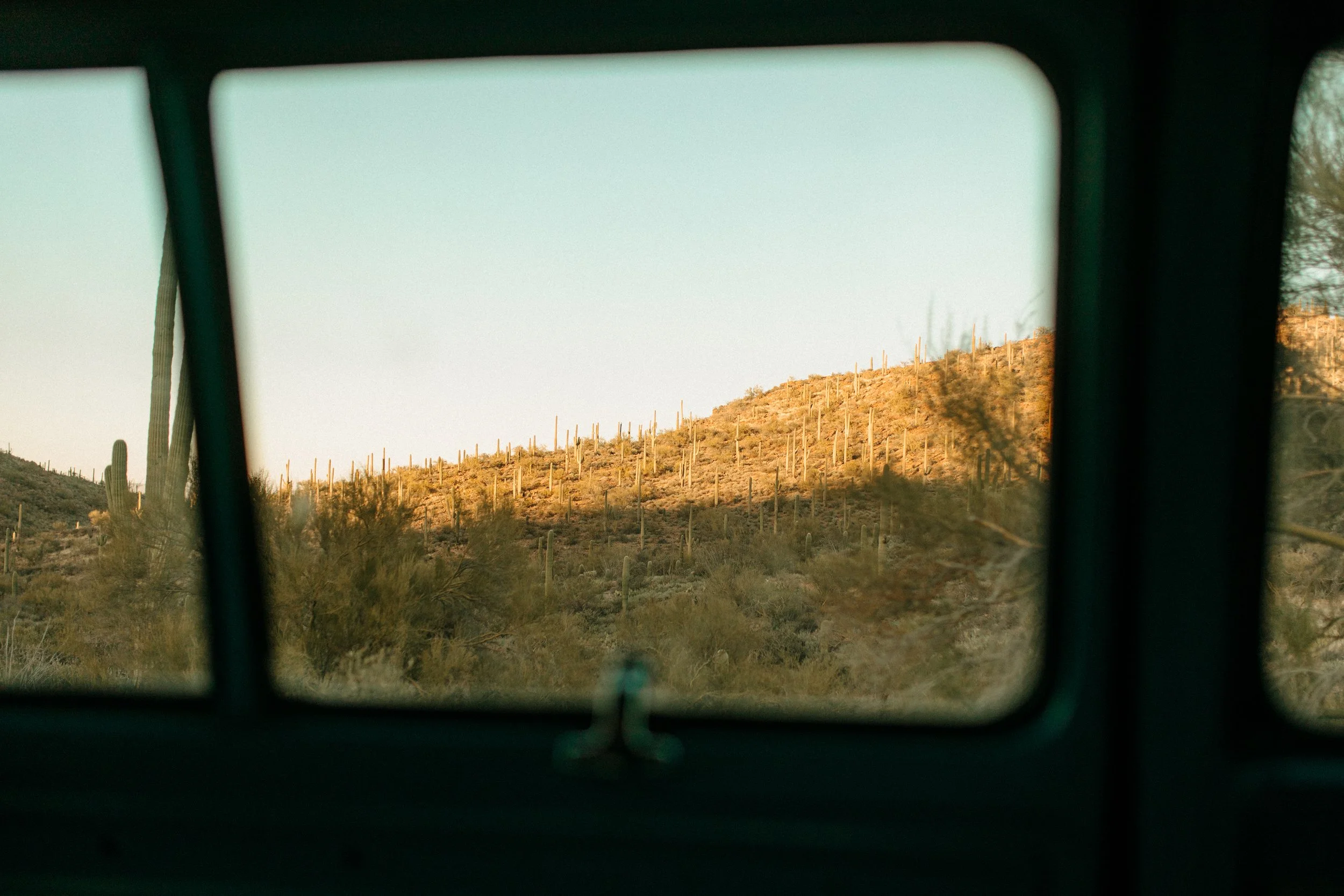 Saguaro National Park