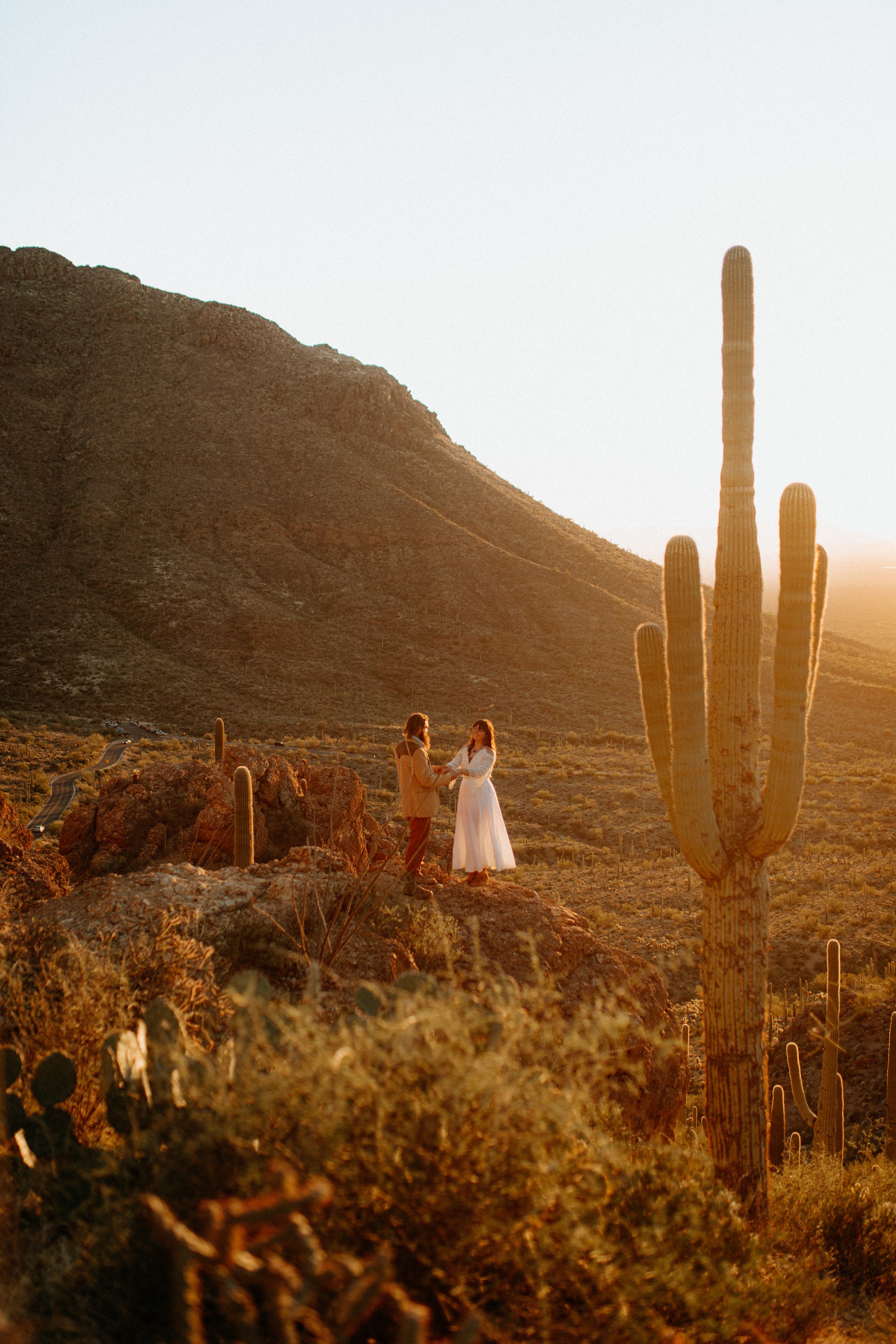 Saguaro National Park Wedding