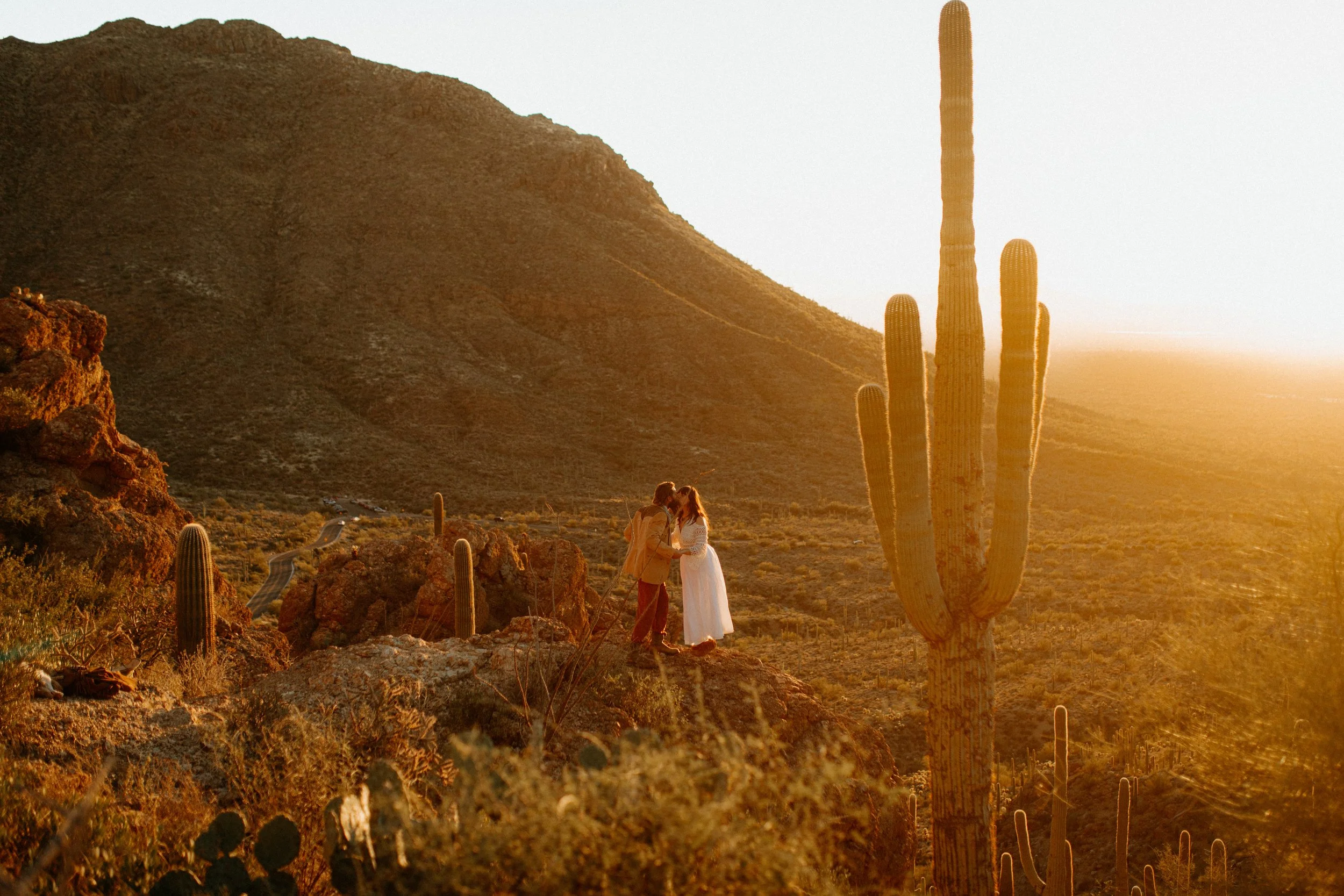 Saguaro National Park Elopement