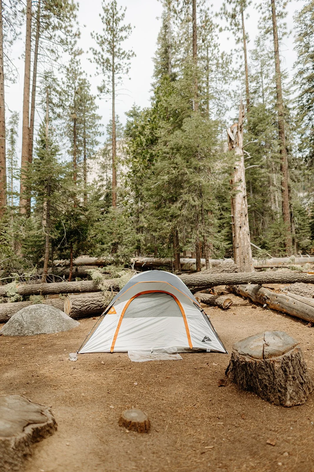 Yosemite Elopement Photography