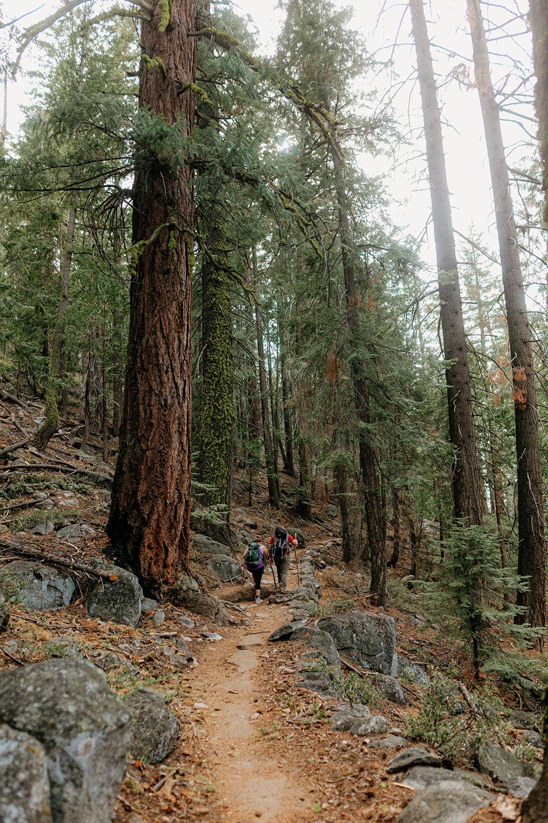 Yosemite Elopement Photography