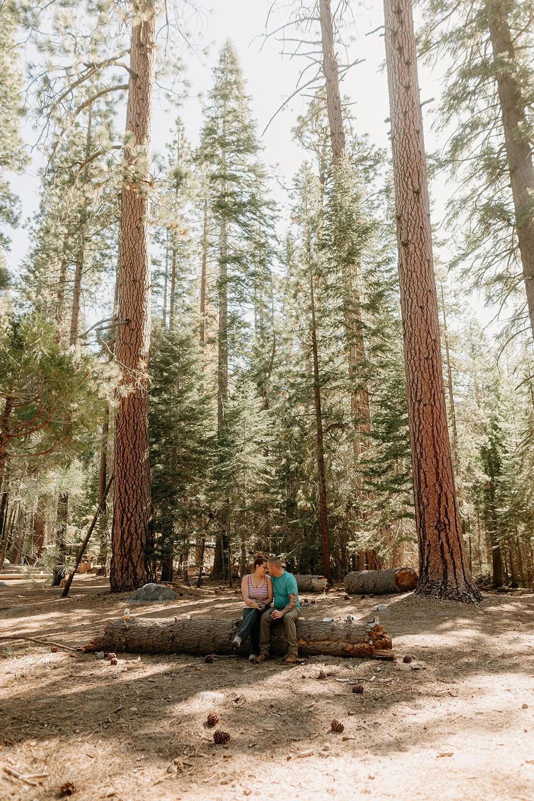 Yosemite Elopement Photography