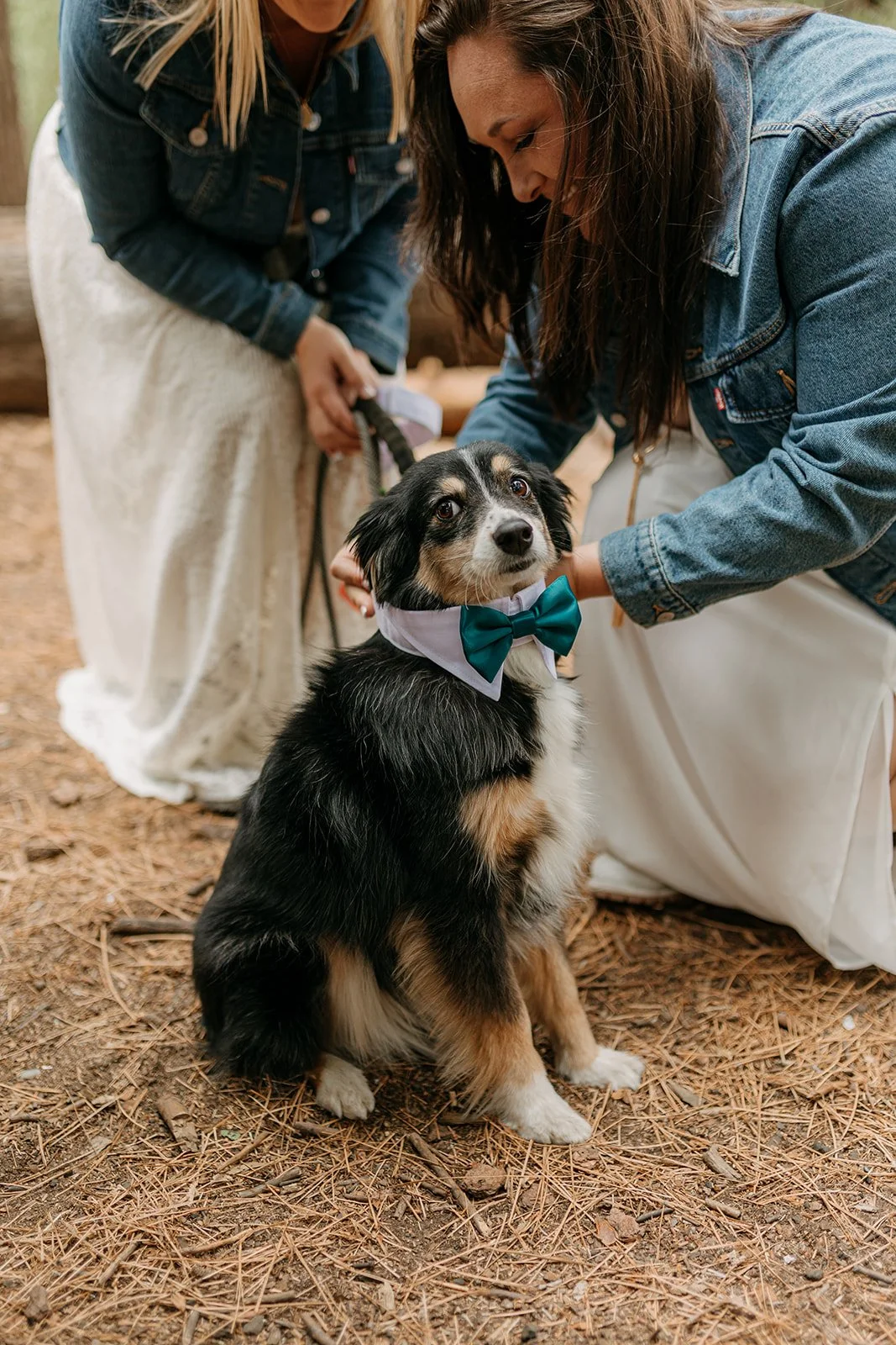 Yosemite Lesbian Elopement