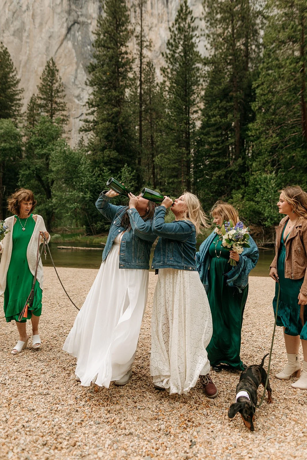 Yosemite Lesbian Elopement
