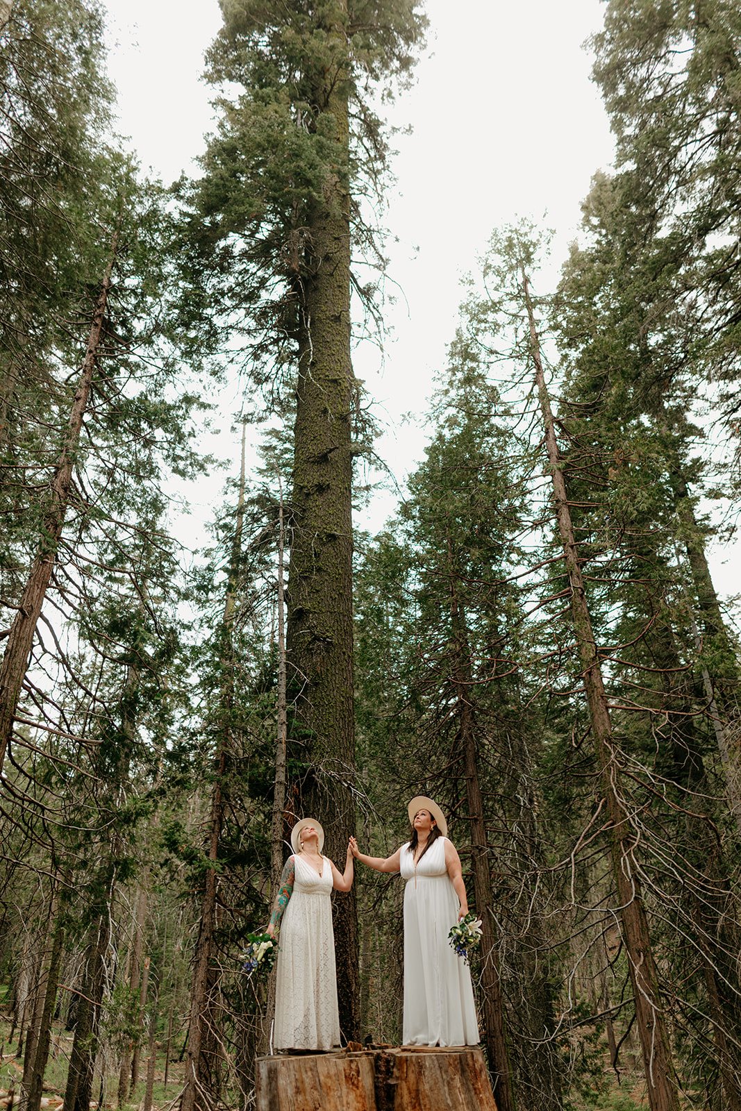 Yosemite Lesbian Elopement