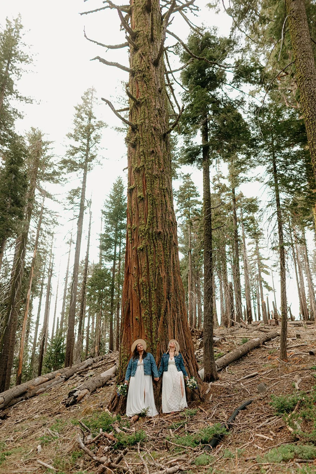 Yosemite Lesbian Elopement