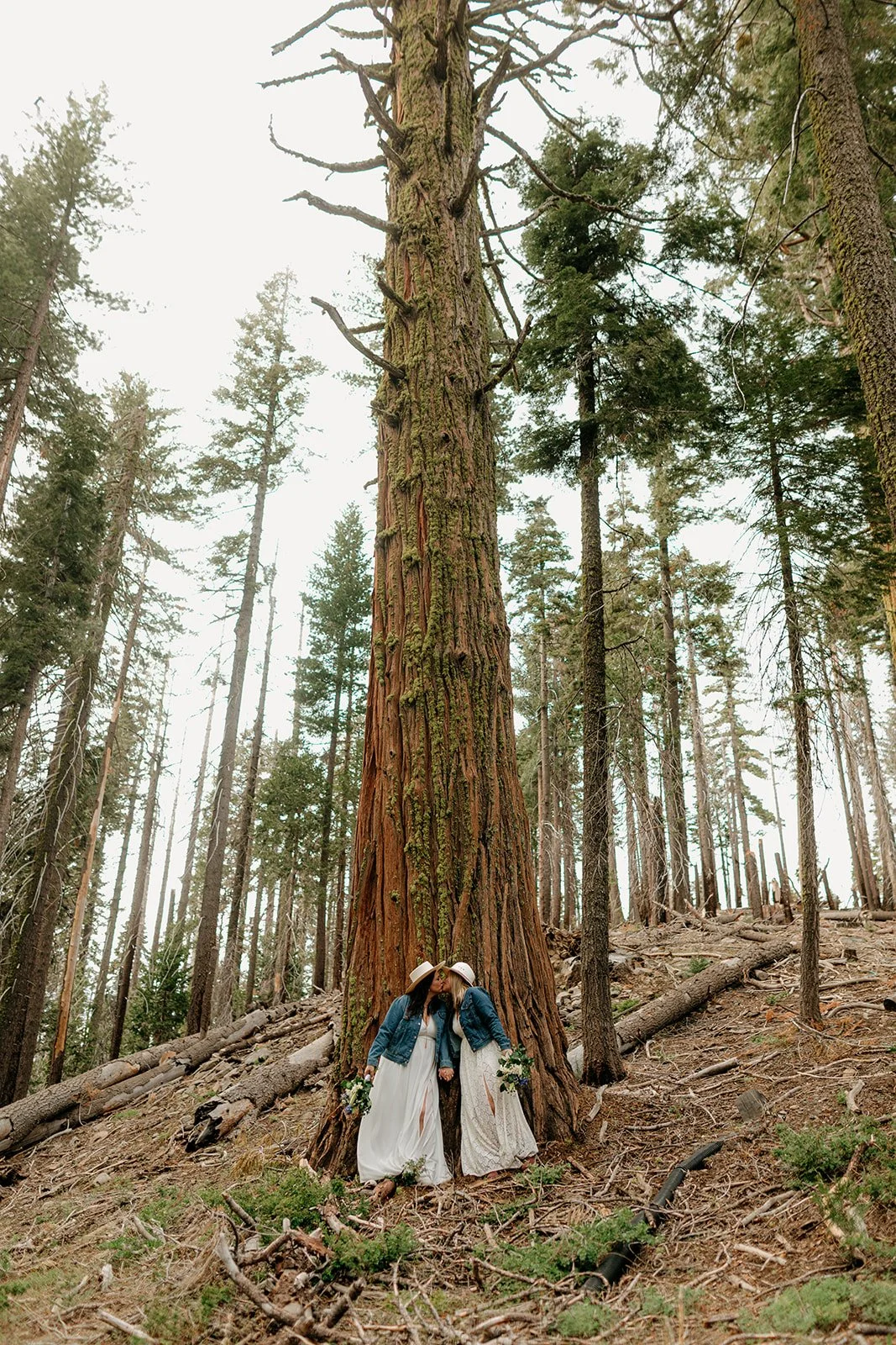 Yosemite Lesbian Elopement